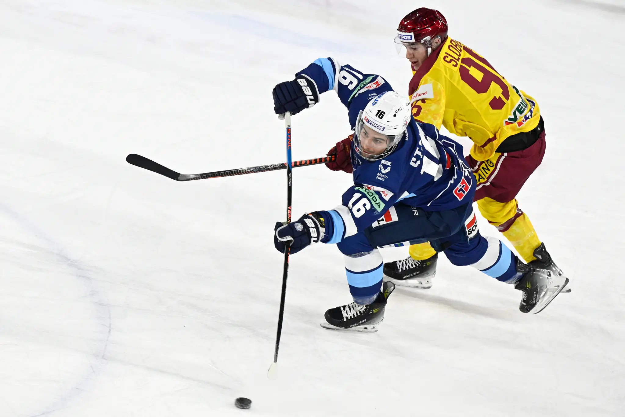 Marko Stacha
