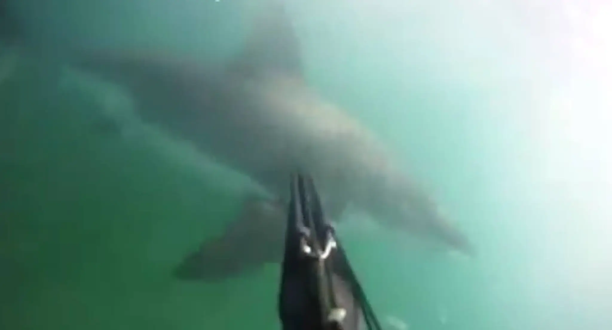 Muž si všetko nakrútil na GoPro kameru. 