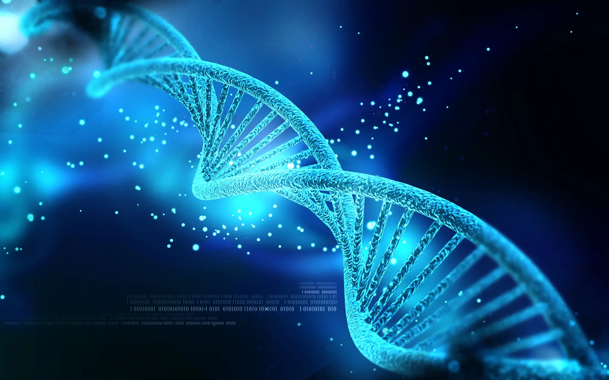 DNA