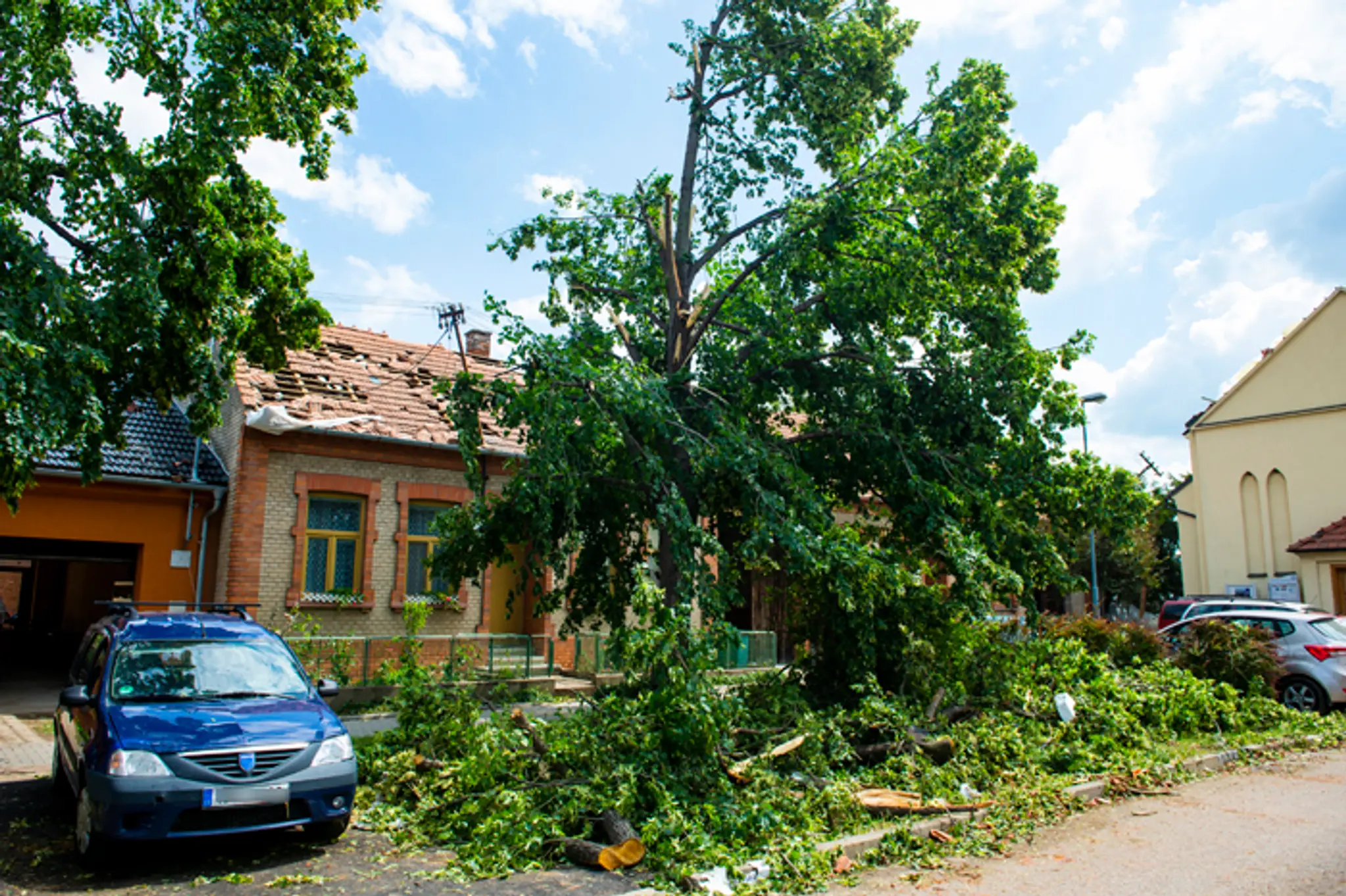 Vyvrátene stromy v obci Hrušky.