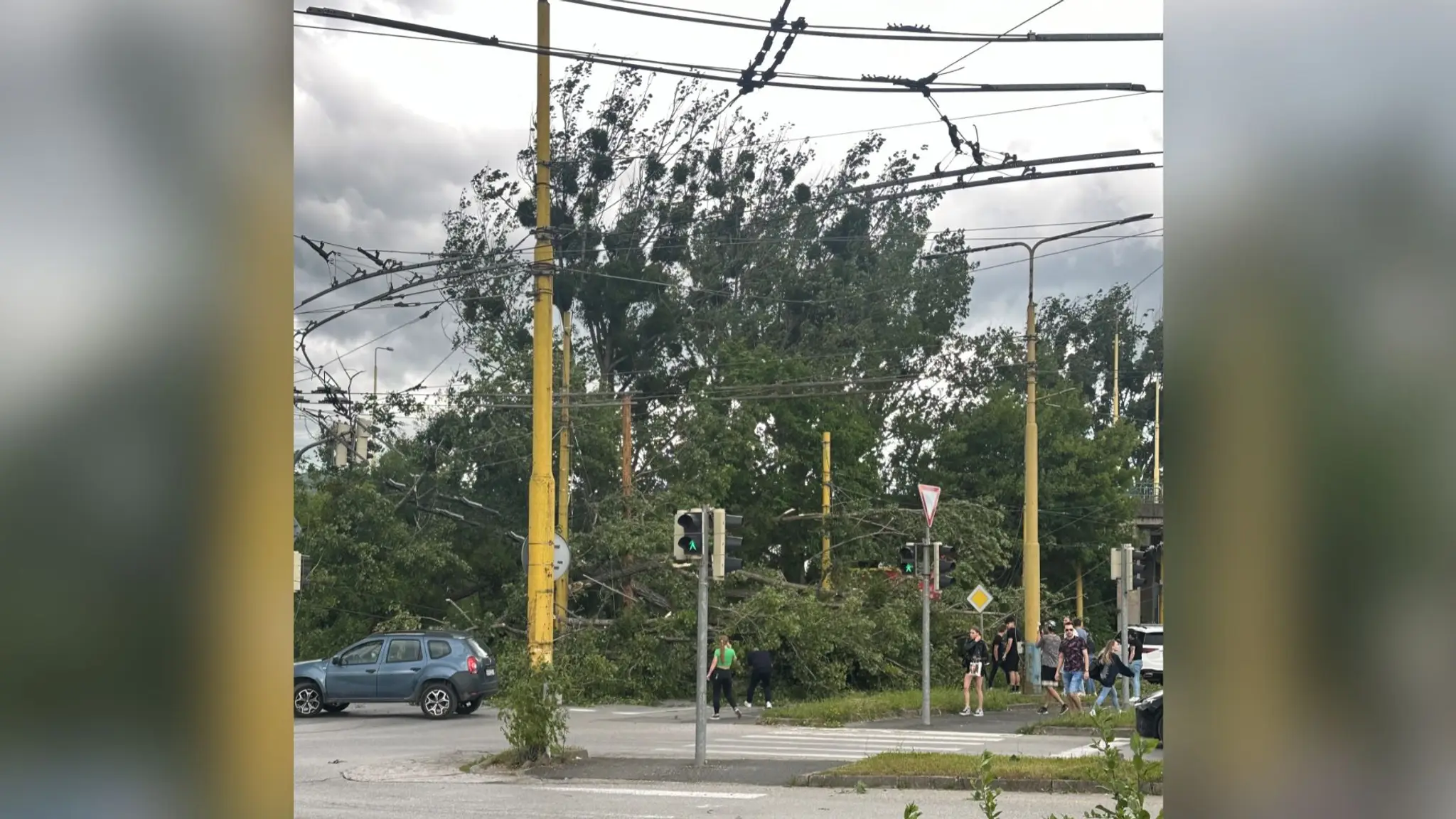 Spadnutý strom potrhal elektrické vedenie.