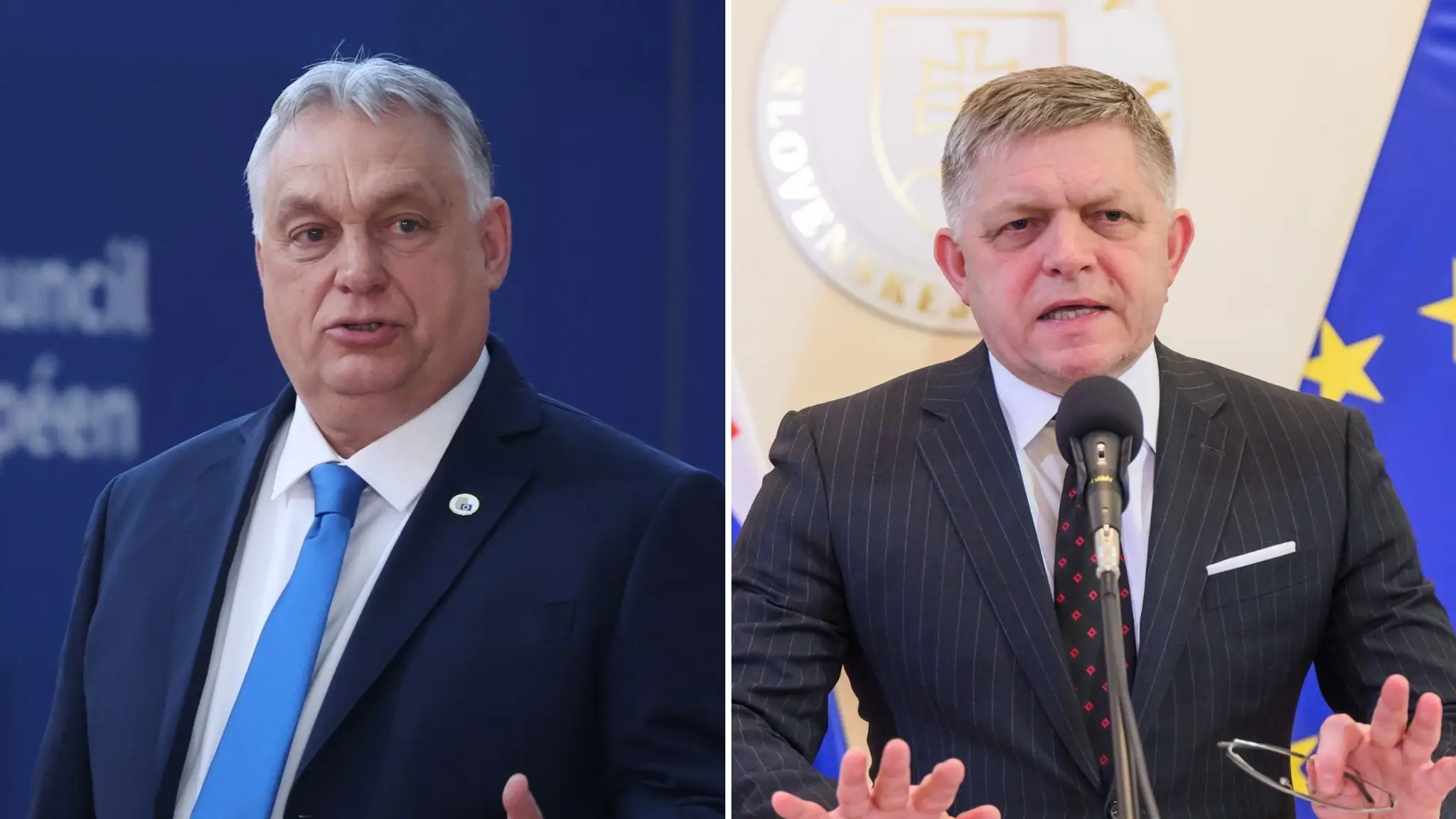 Viktor Orbán, Robert Fico
