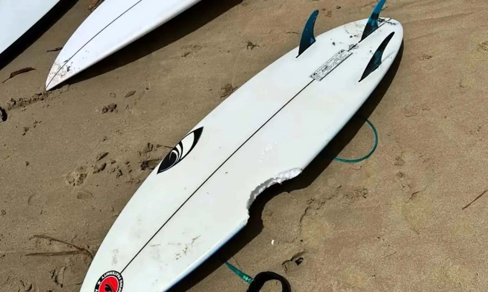 Doska pre surfistov po zahryznutí žralokom.