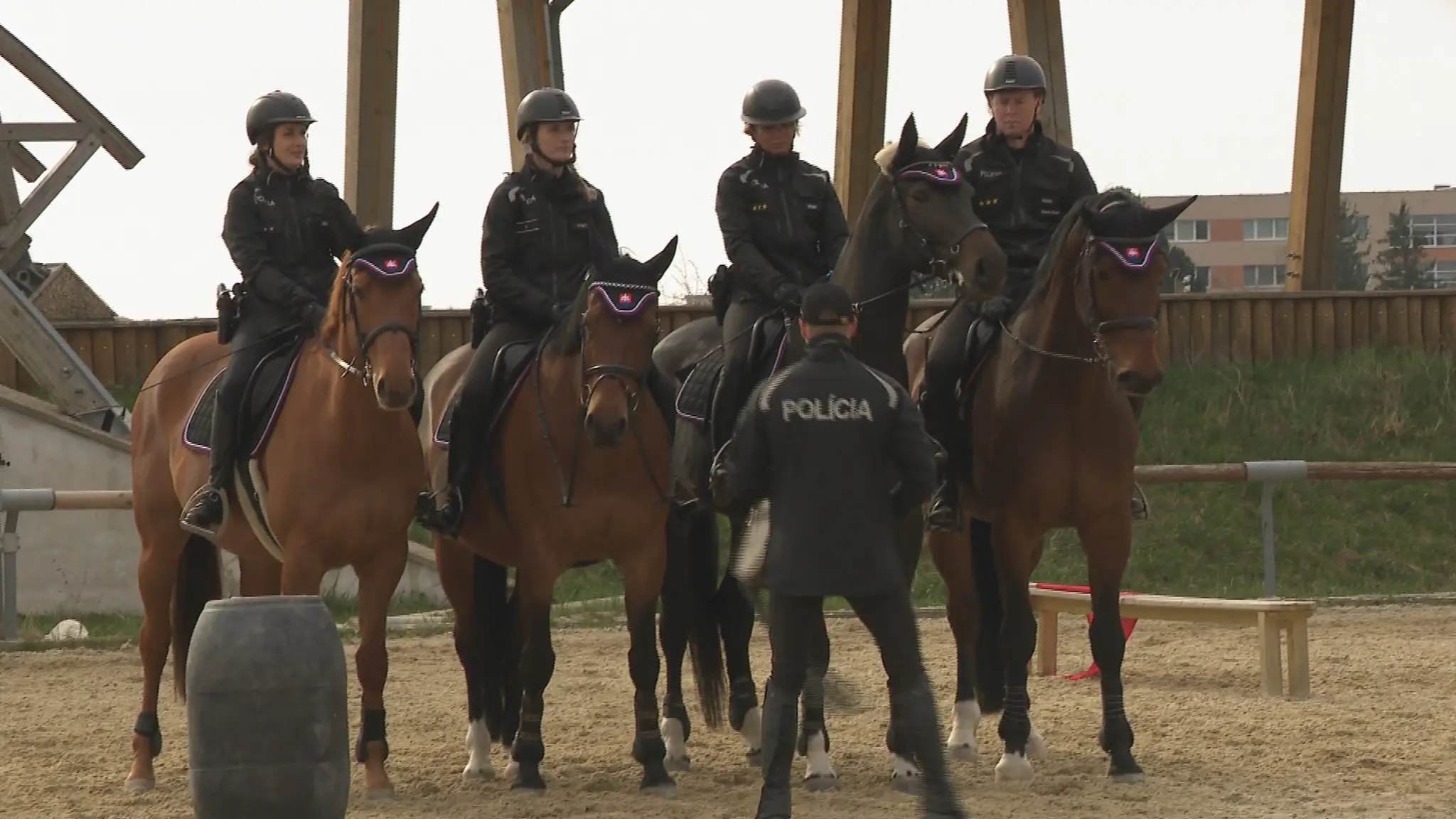 Policajné kone.