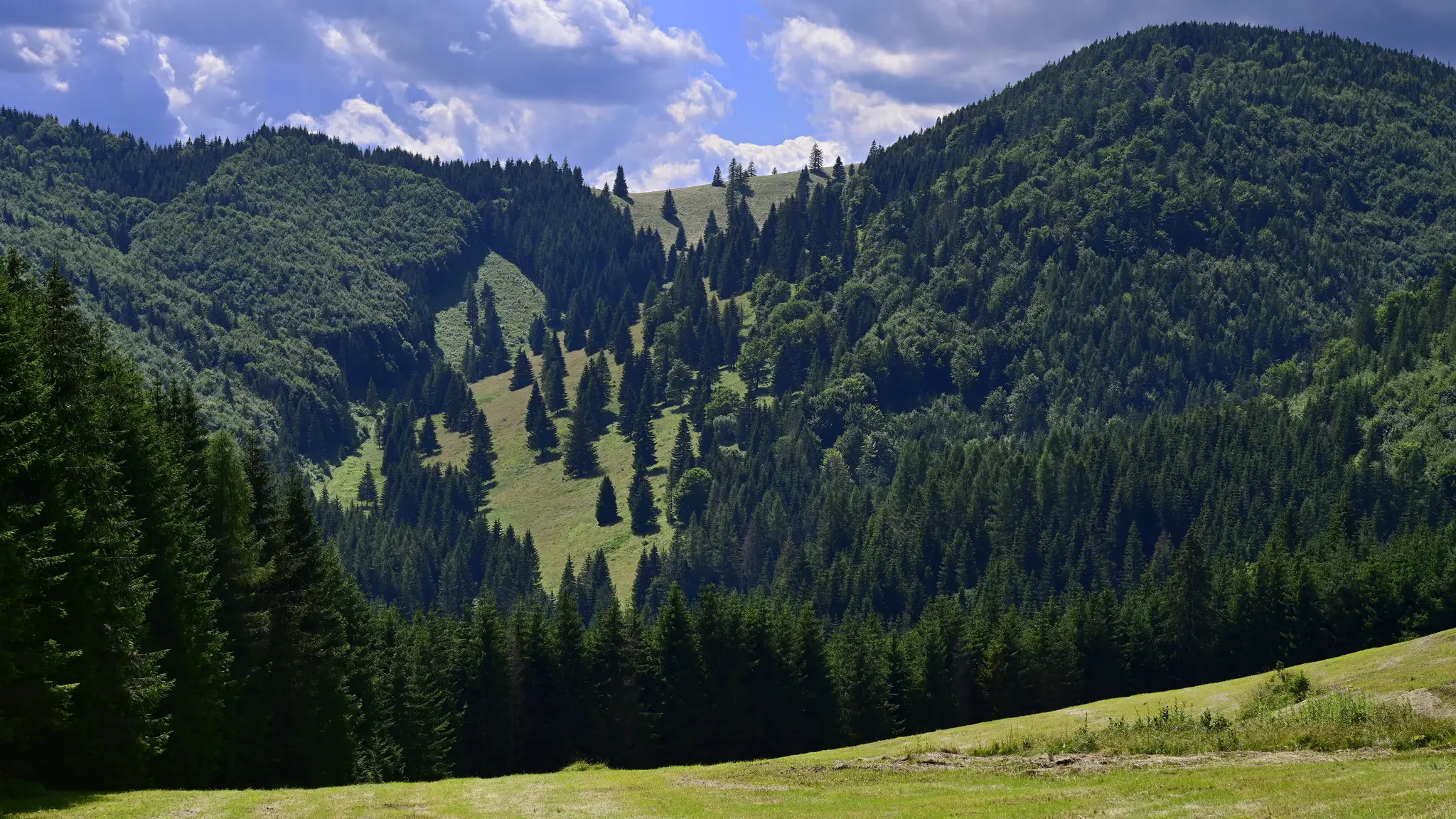 Kopanecké lúky v NP Slovenský raj.