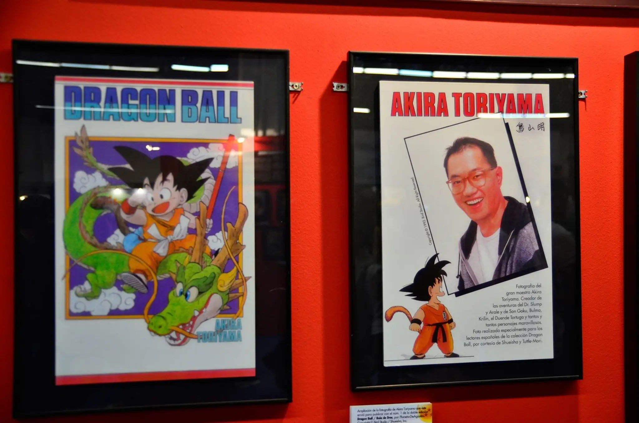 Vo veku 68 rokov zomrel Akira Torijama, tvorca mangy Dragon Ball.