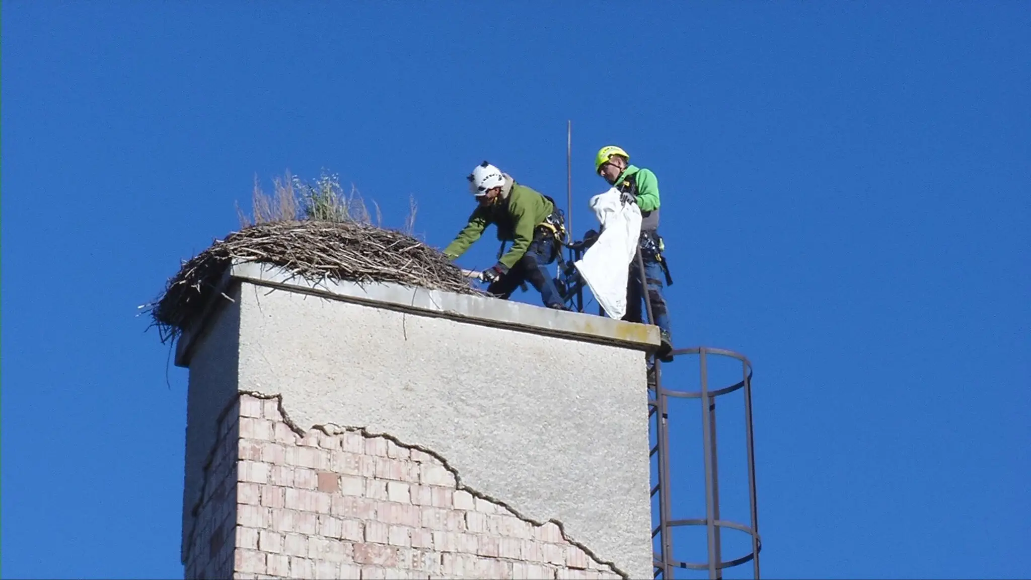 Ľudia čistia bocianie hniezda