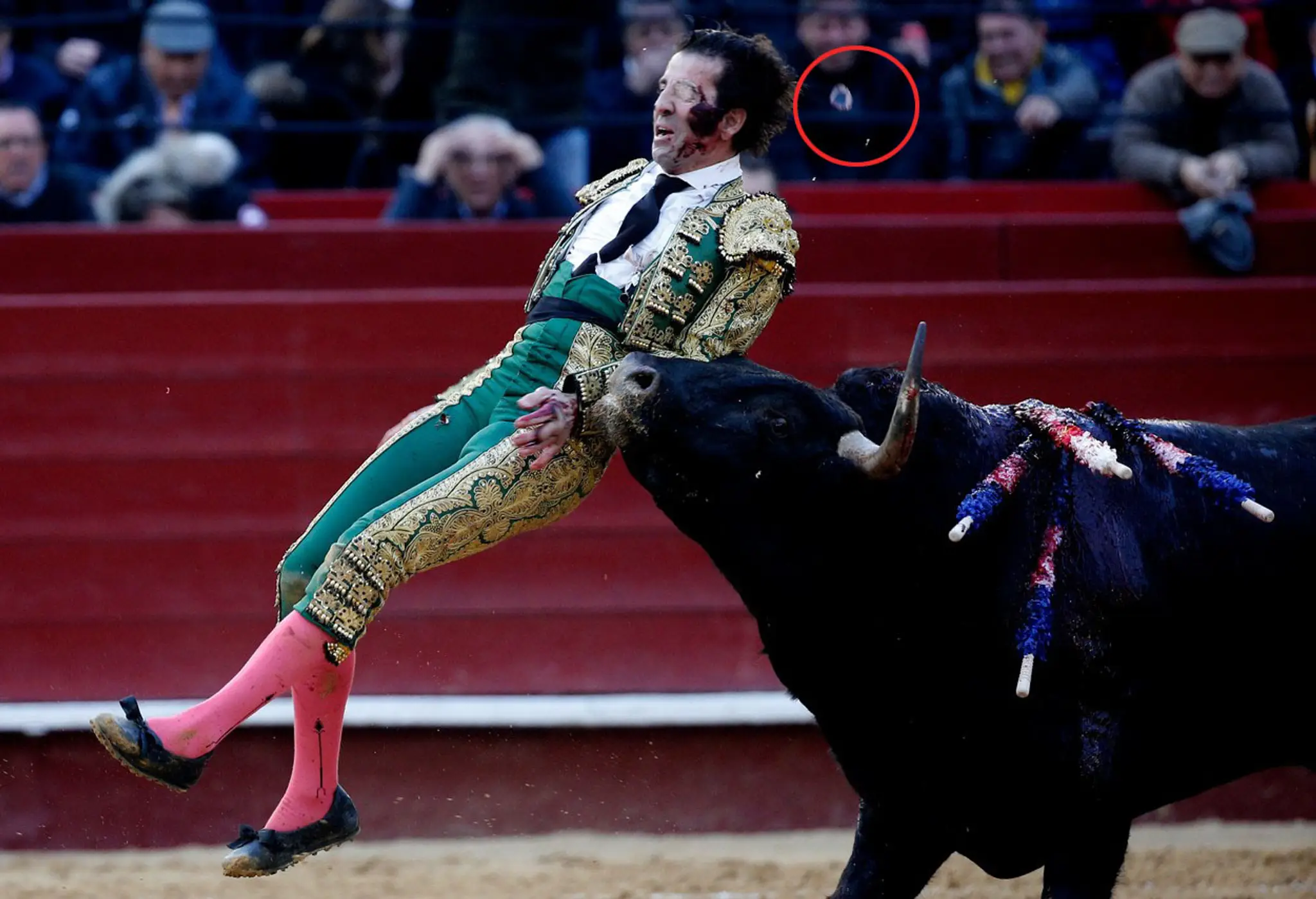 Juan José Padilla
