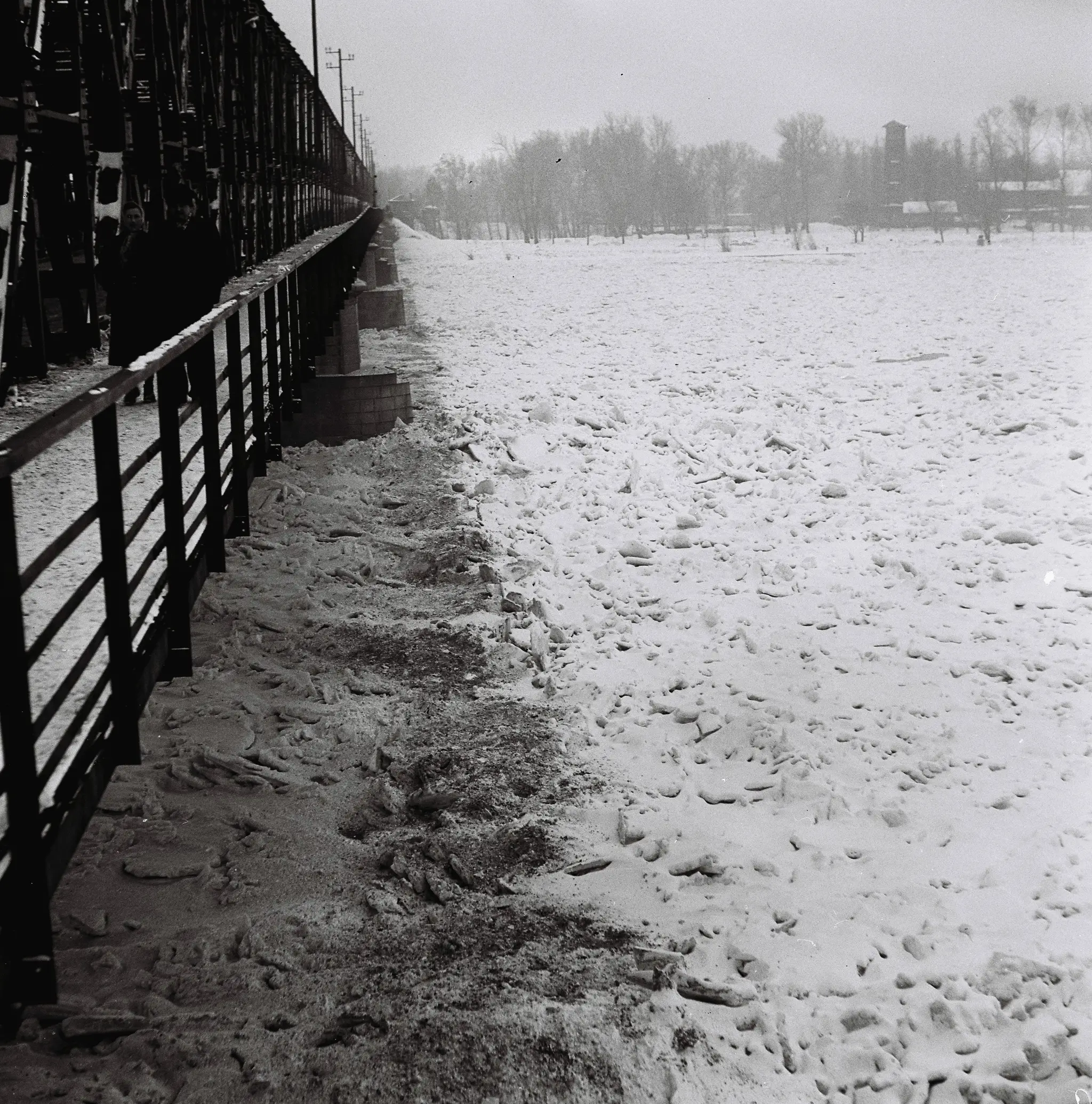 Zamrznutý Dunaj počas zimy v roku 1956.