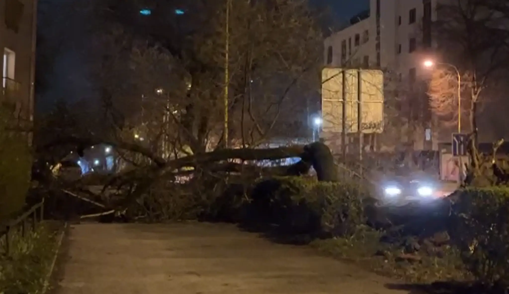 Polámaný strom v Košiciach.