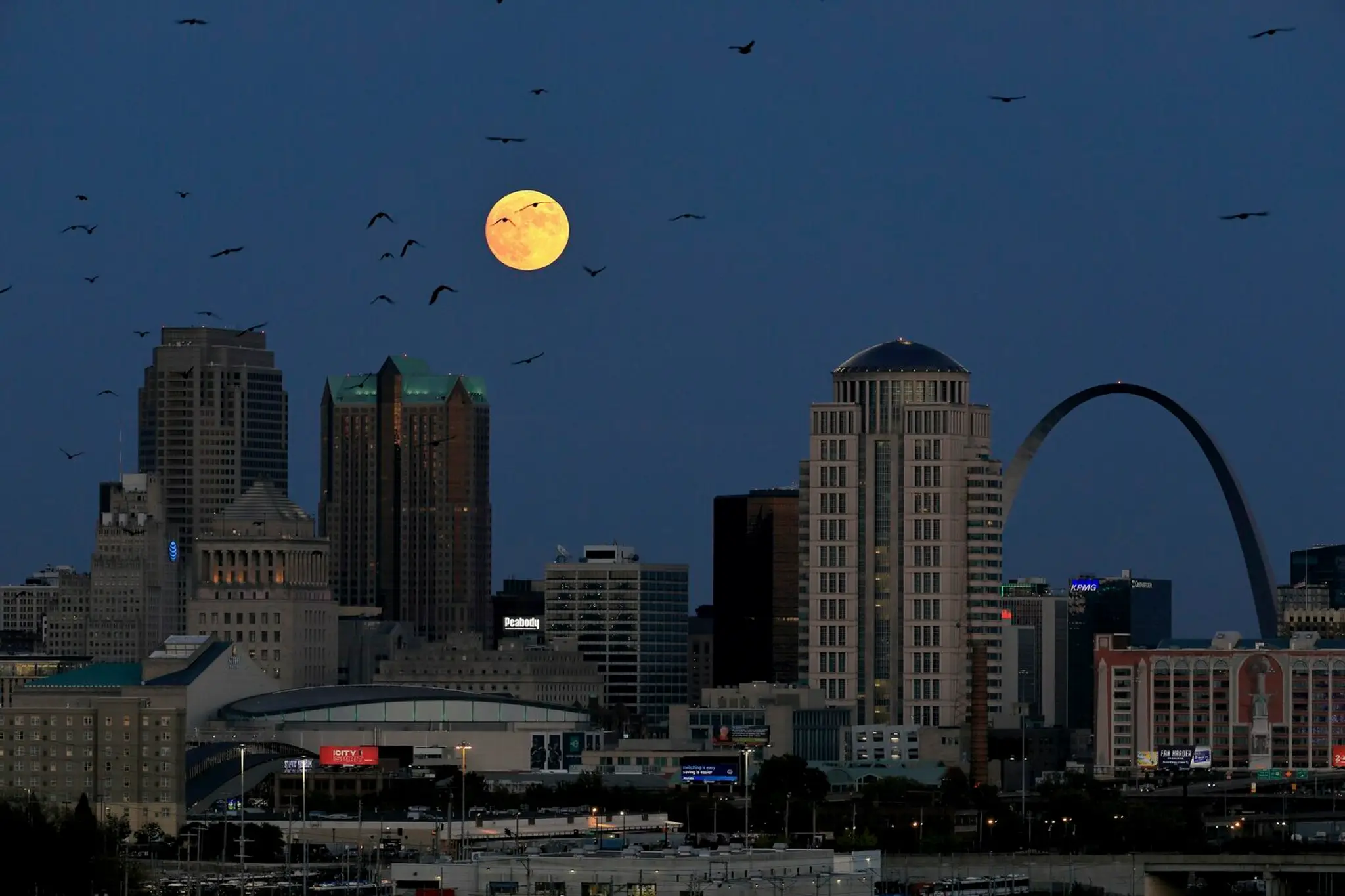 St. Louis ,USA