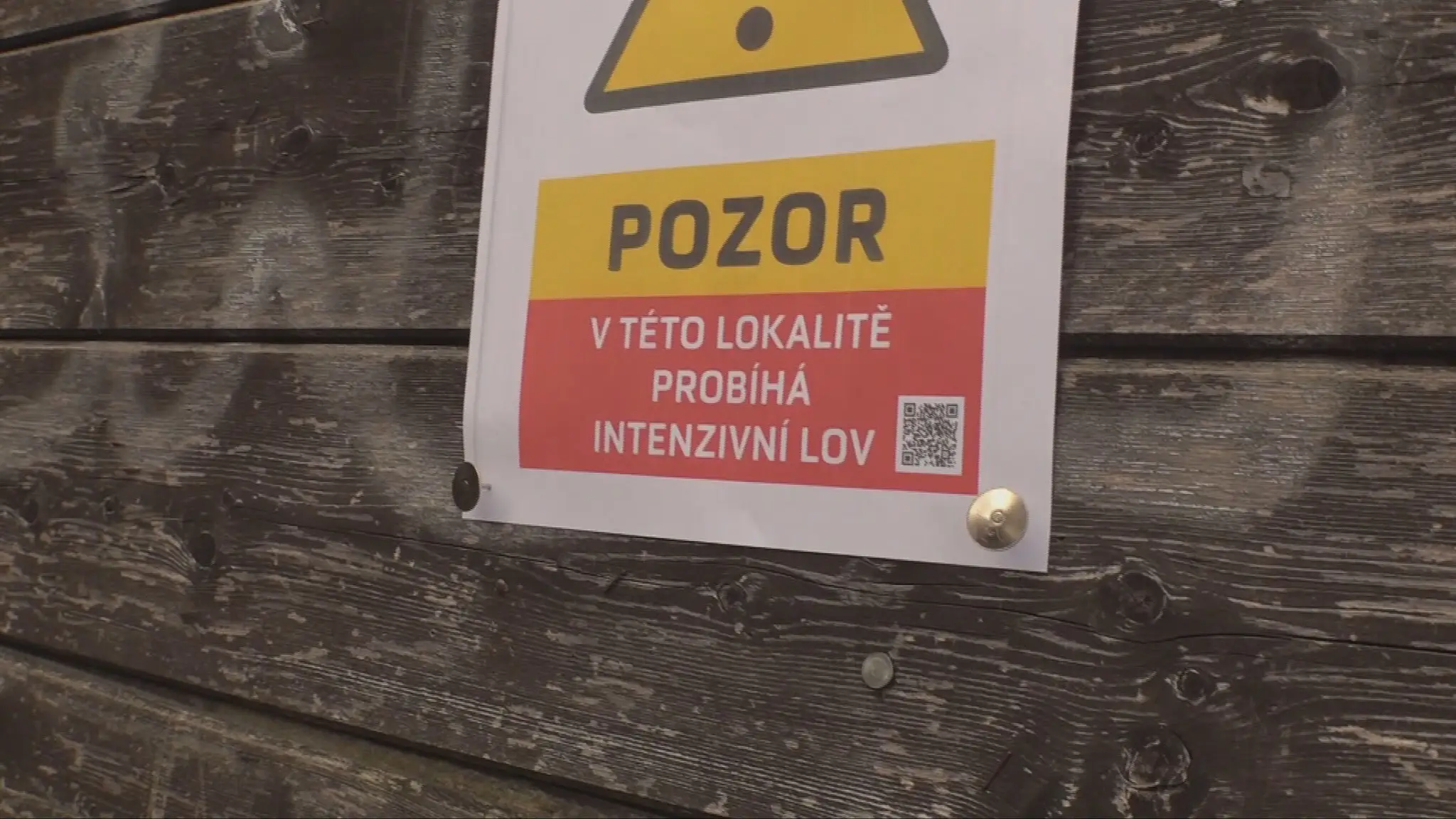 Upozornenie na lov diviakov v Česku