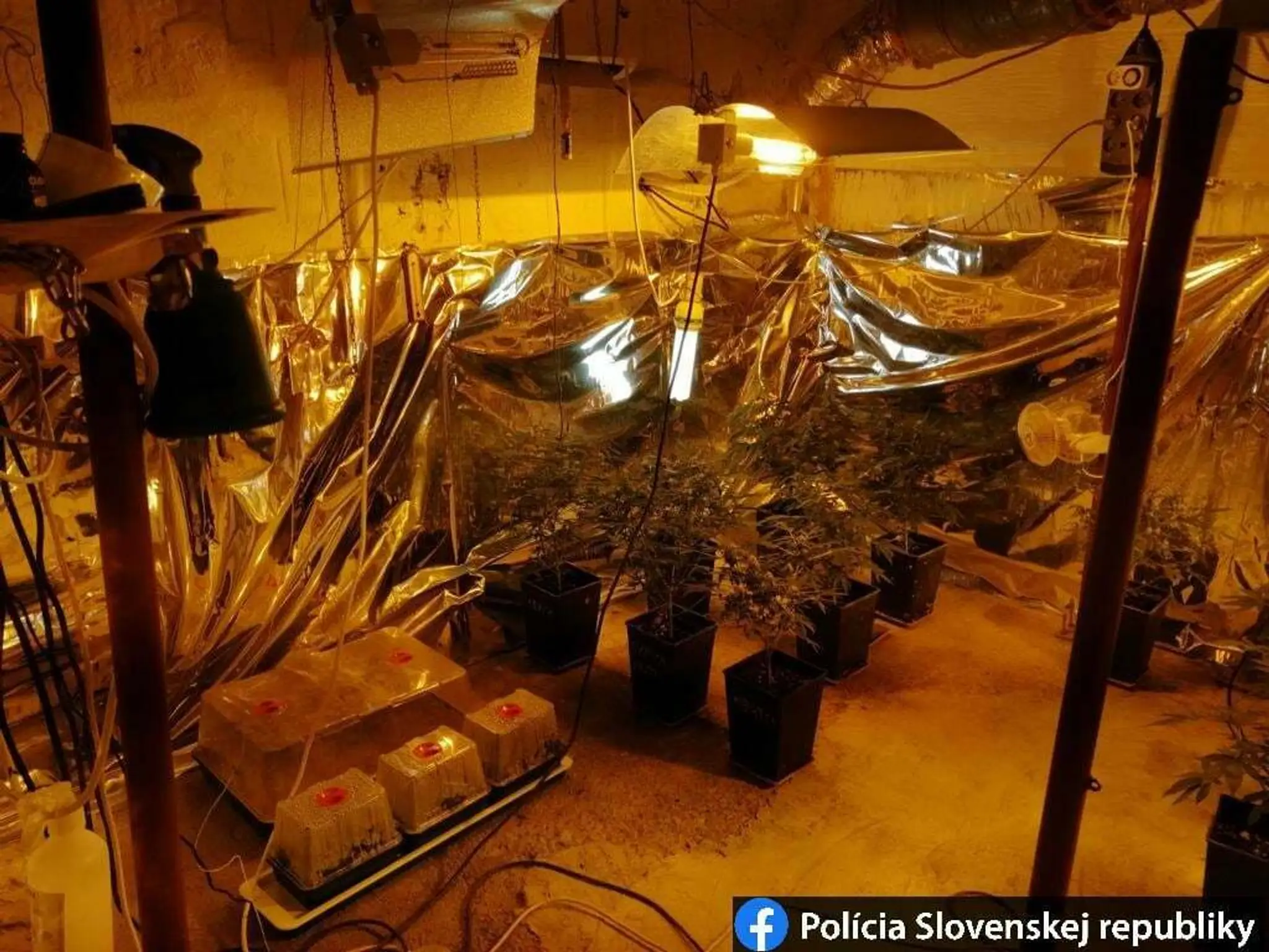 Laboratórium, kde mali obvinení vyrábať drogy