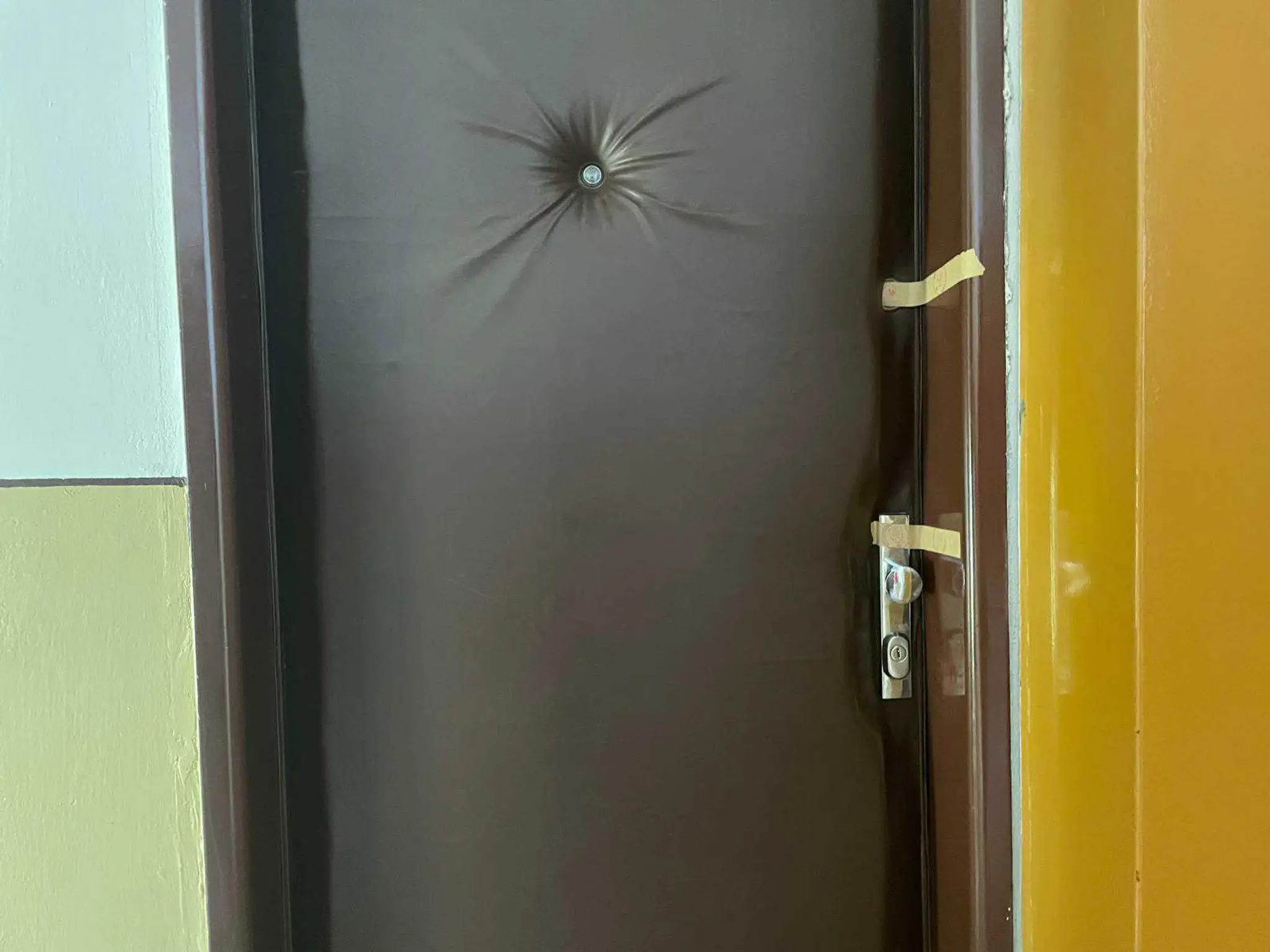 dvere od bytu v paskou