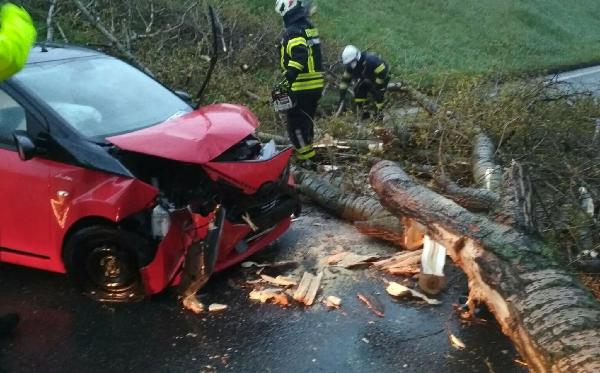 Spadnutý strom v Bratislave pre silný vietor