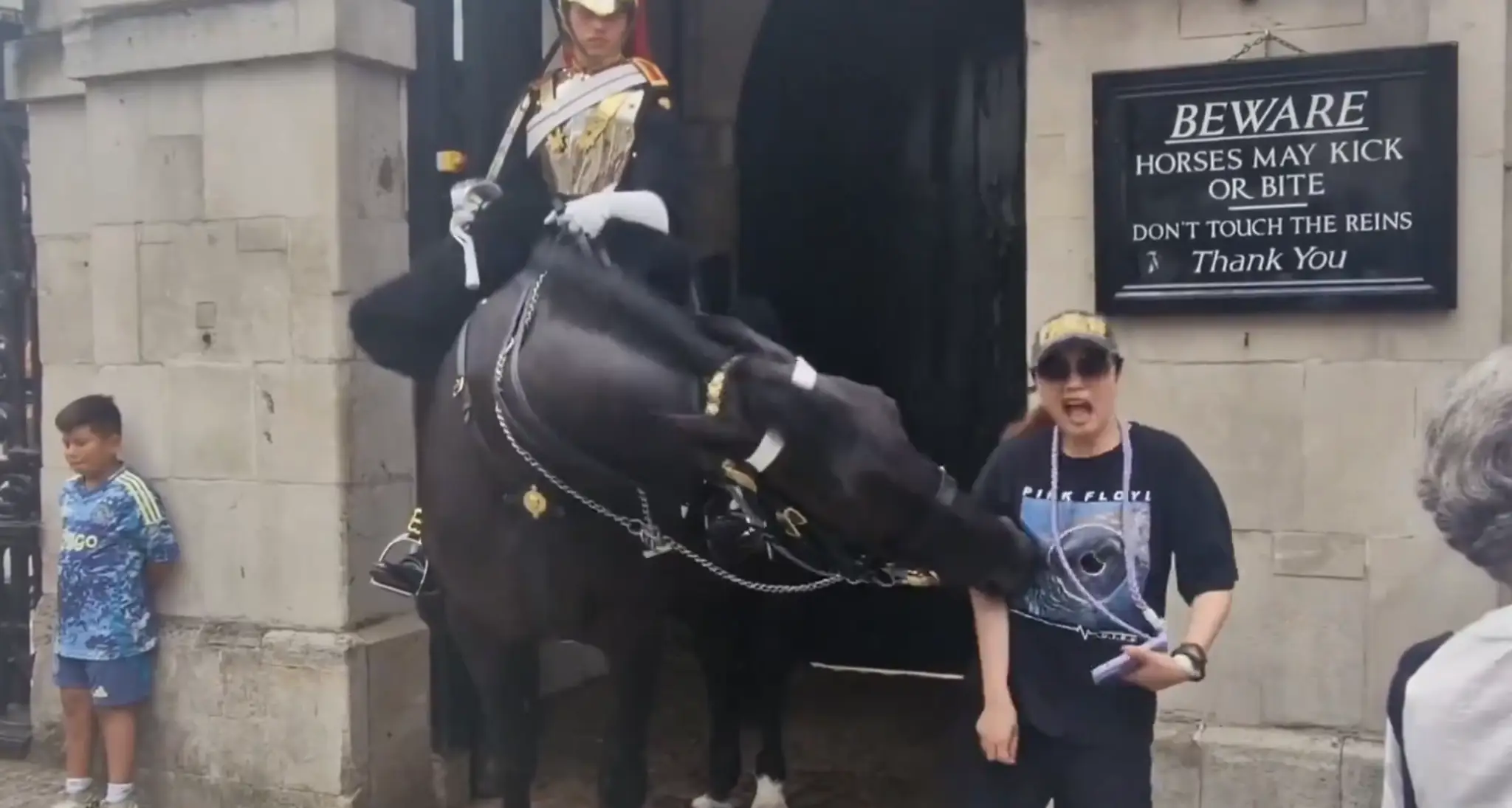 Kôň uhryzol turistku