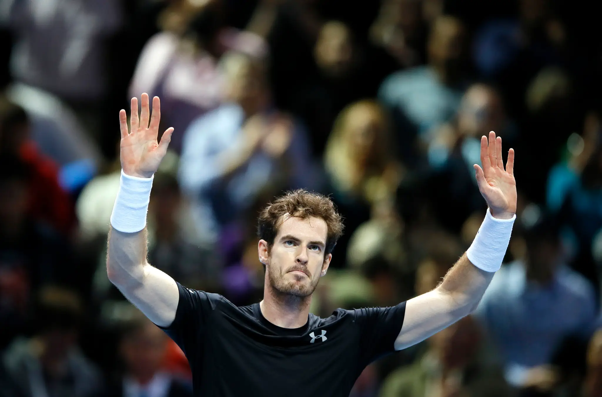 Andy Murray.