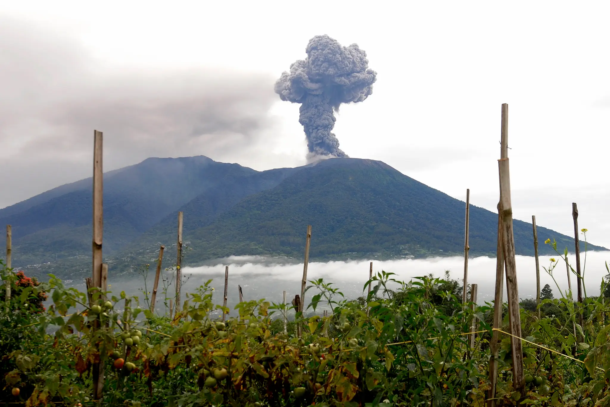 Erupcia sopky Merapi v Indonézii.
