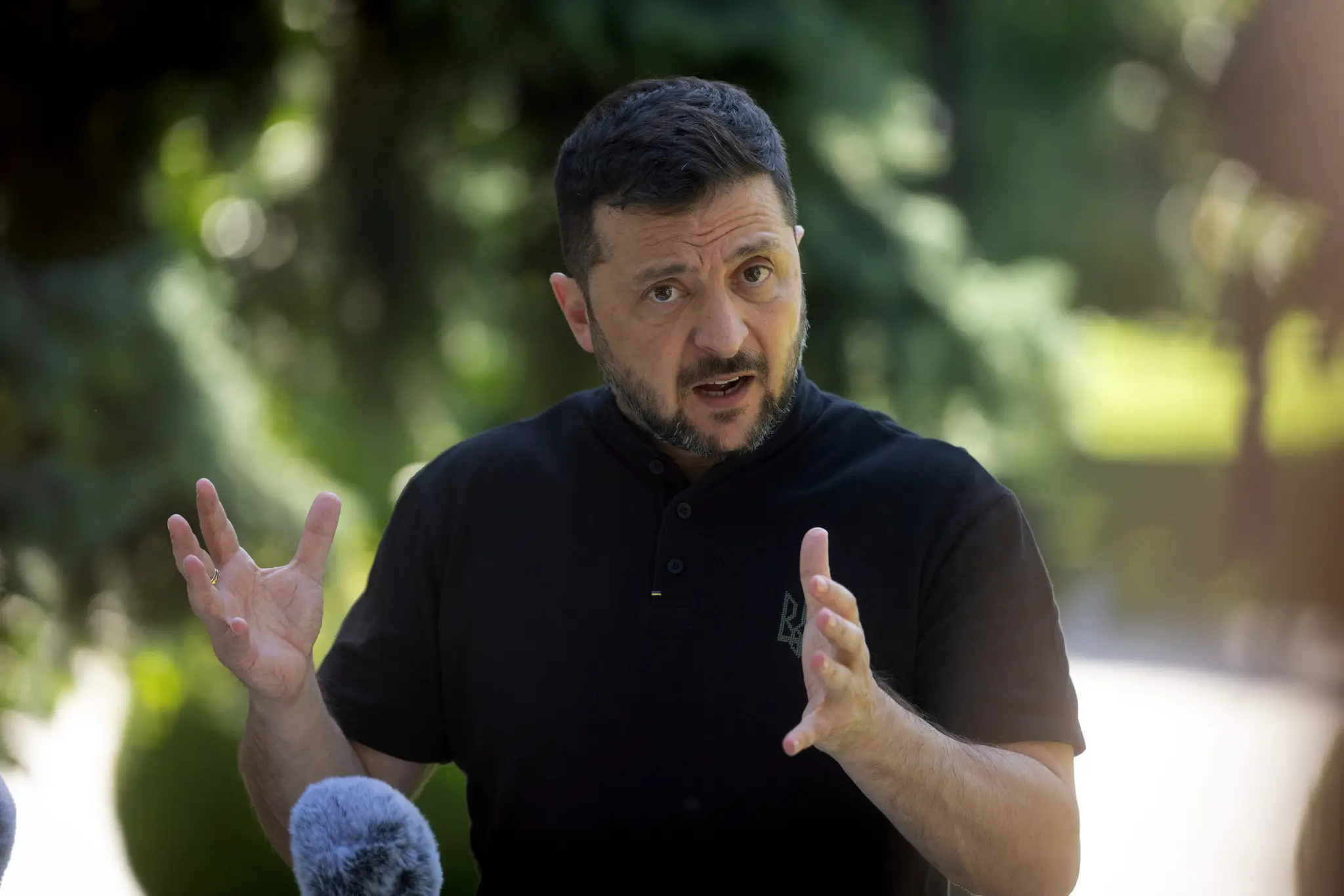 Zelenskyj