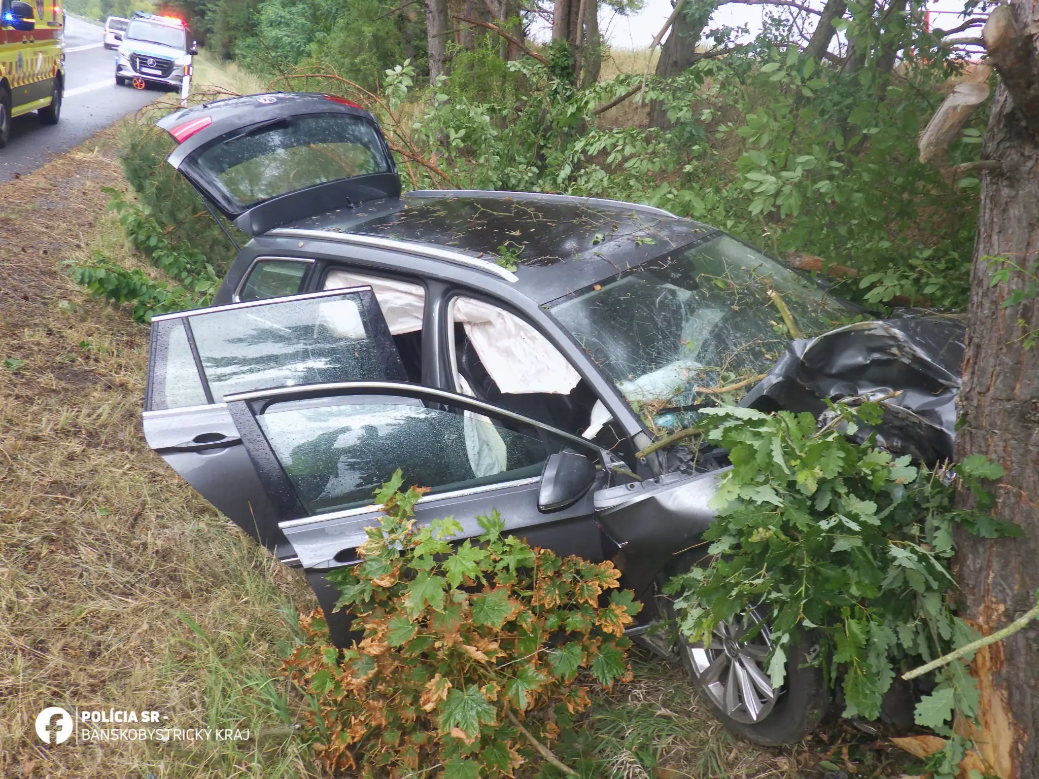 Auto vrazilo do stromu