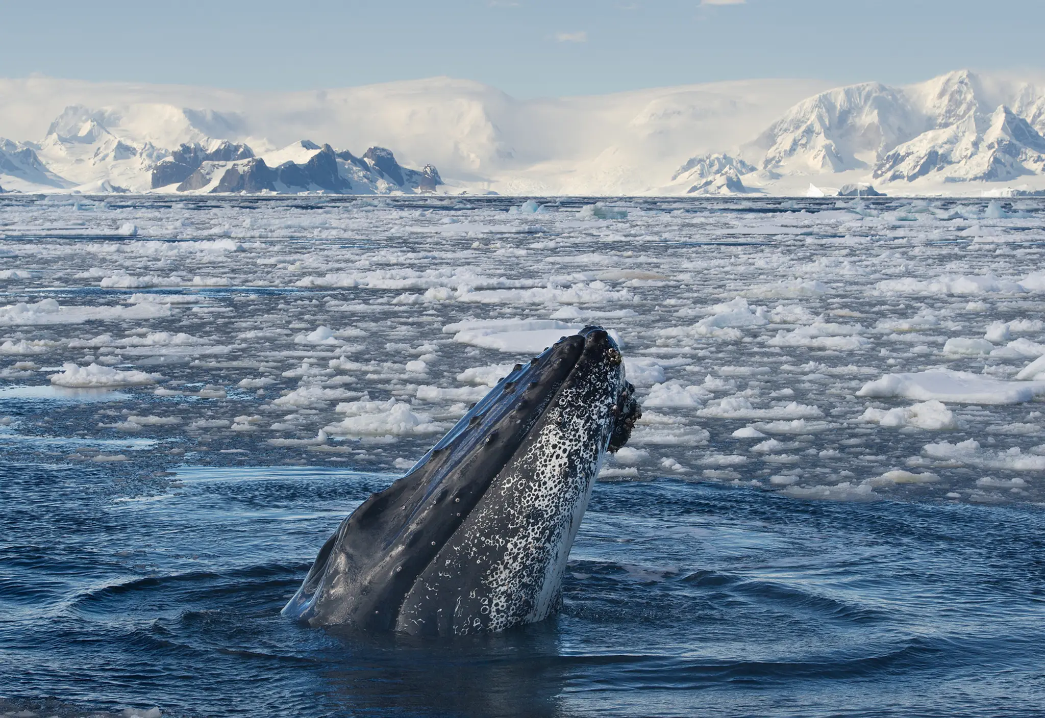 Ilustračné foto.