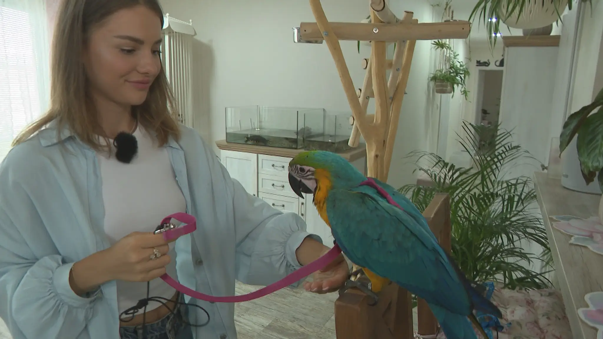Mirka a jej papagájica
