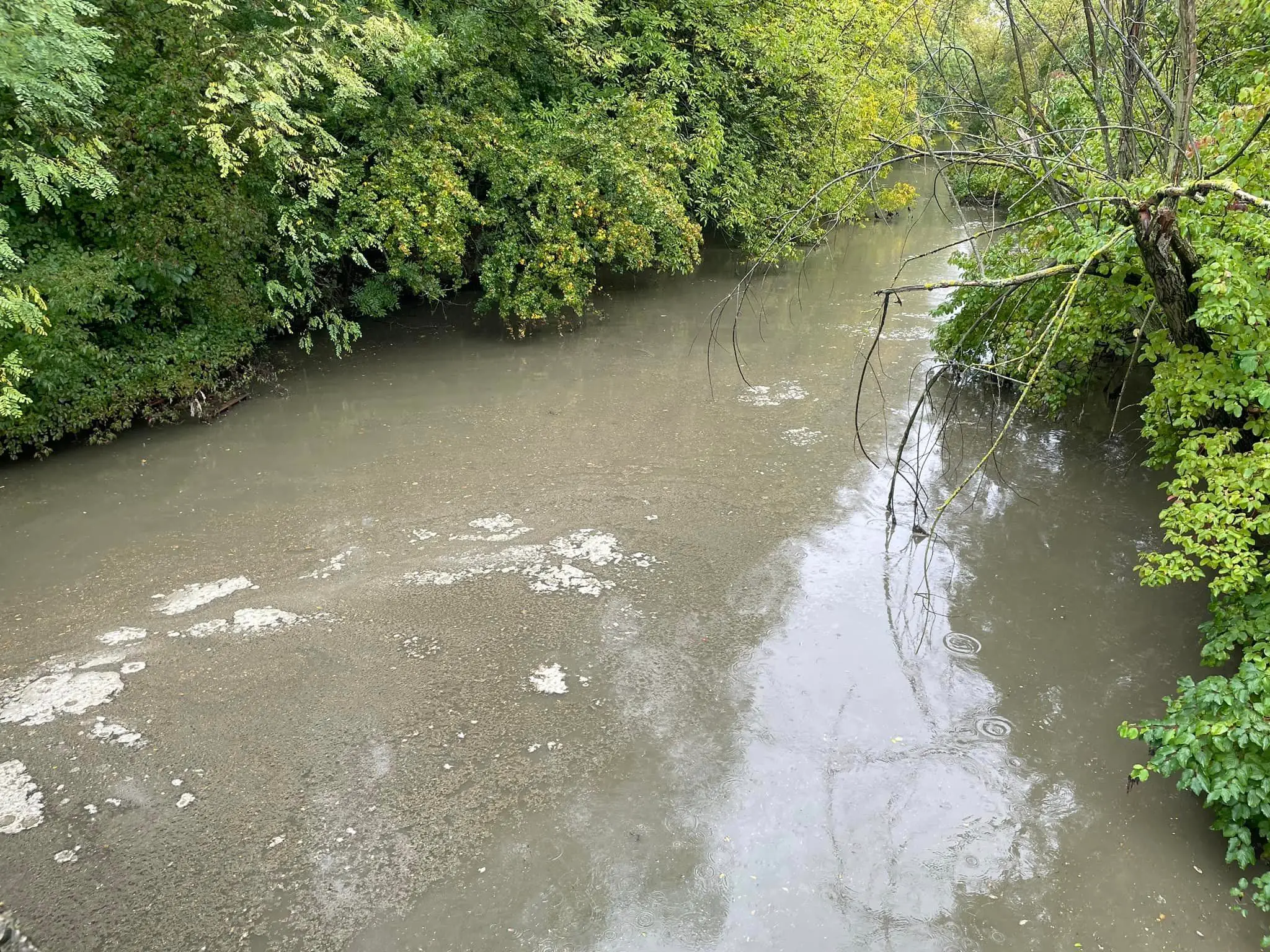 znečistený Malý Dunaj