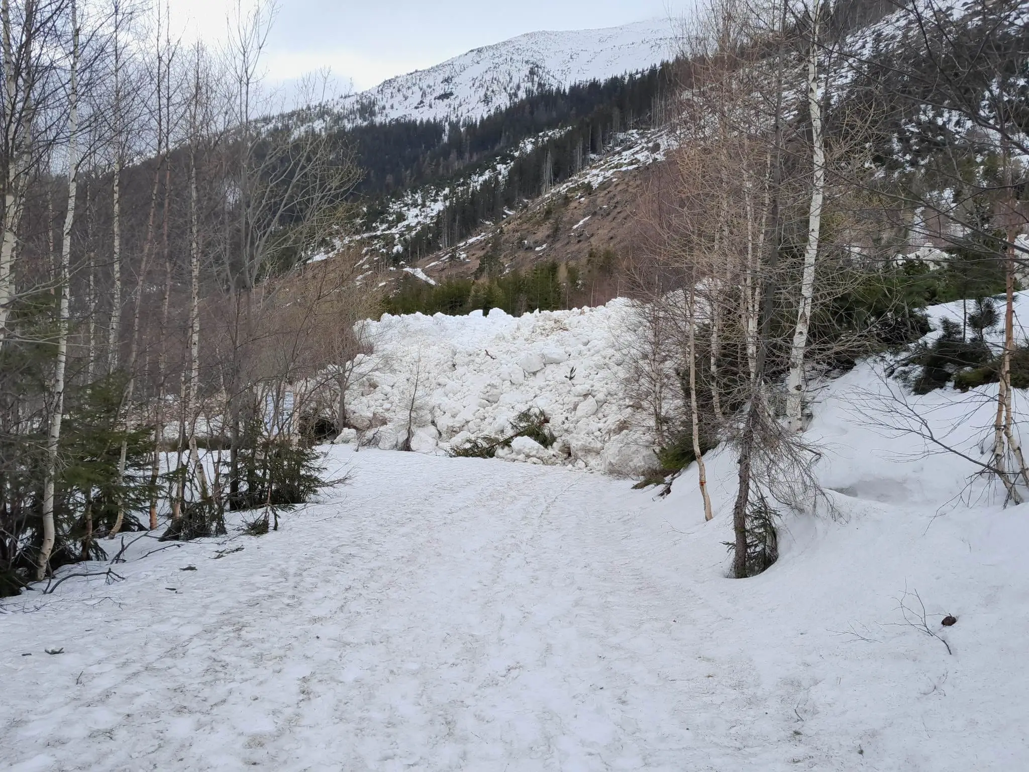 V Žiarskej doline spadla lavína
