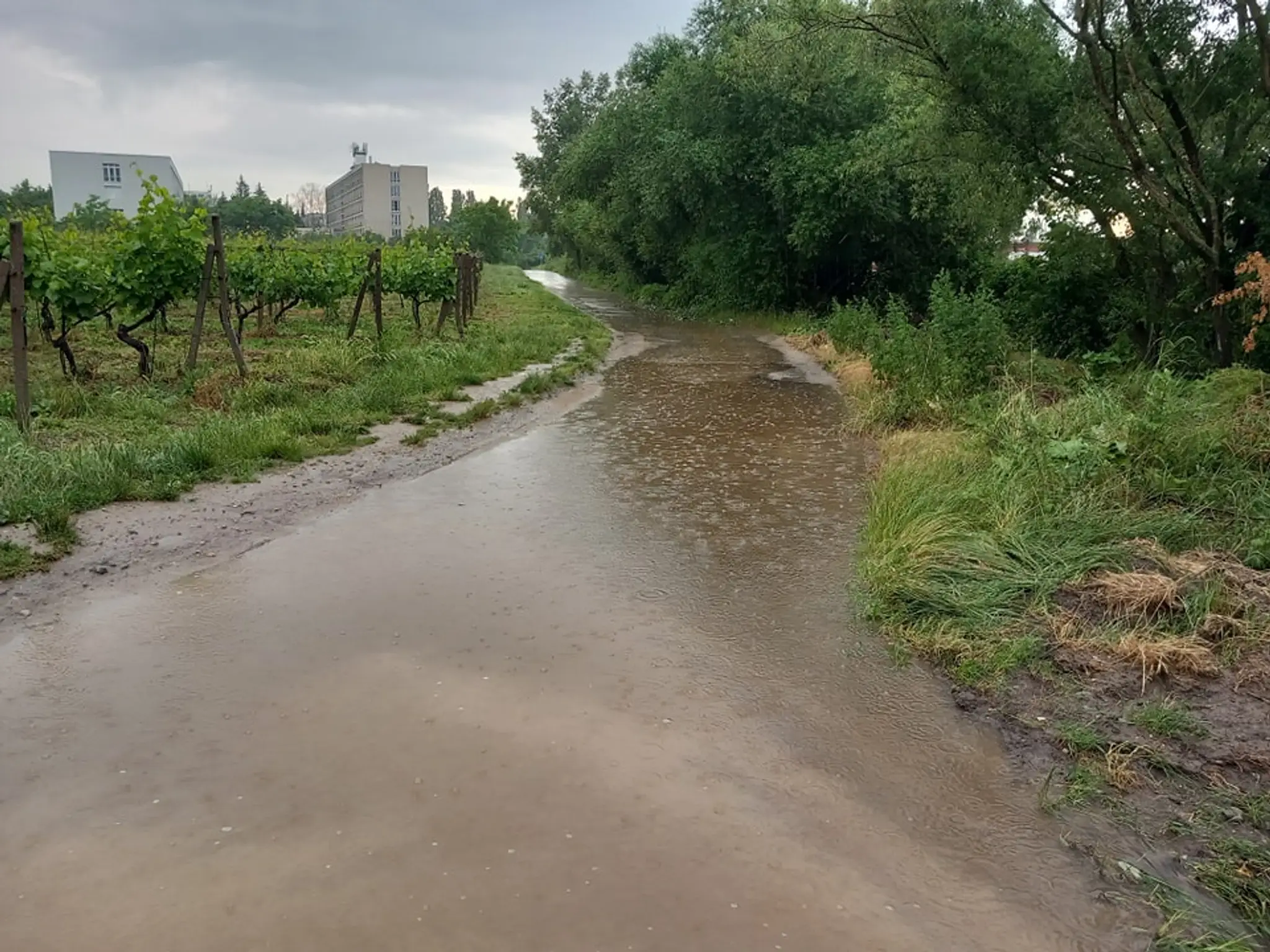 Situácia v Rači