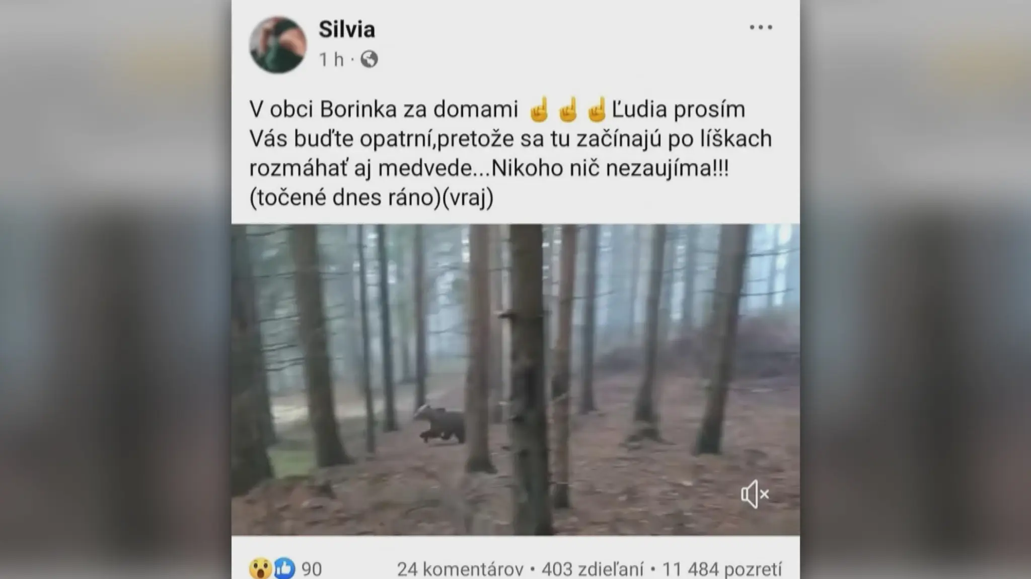 19 Medvede Borinka.transfer.jpg_bez_watermarku_1