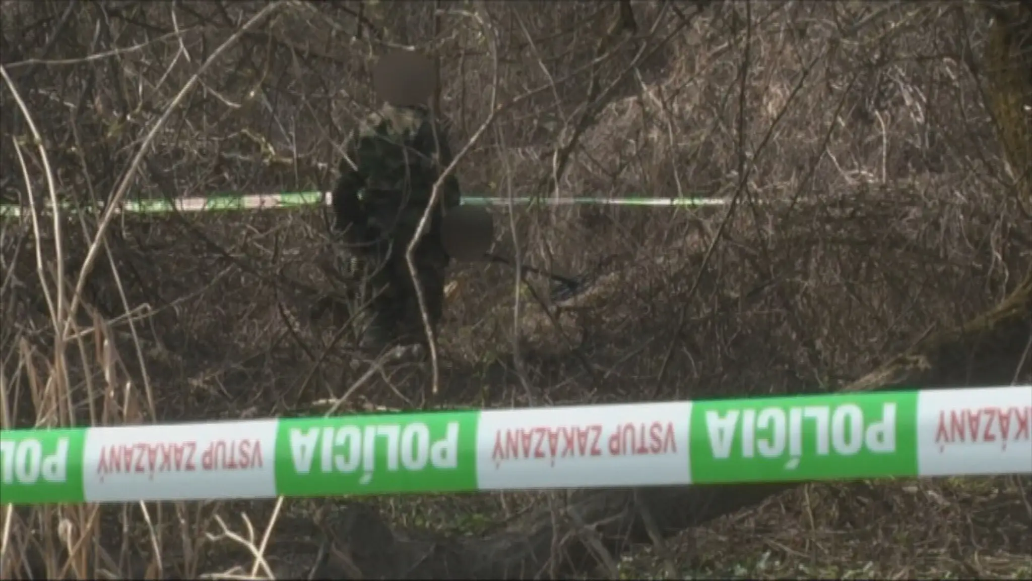 Vrah na slobode