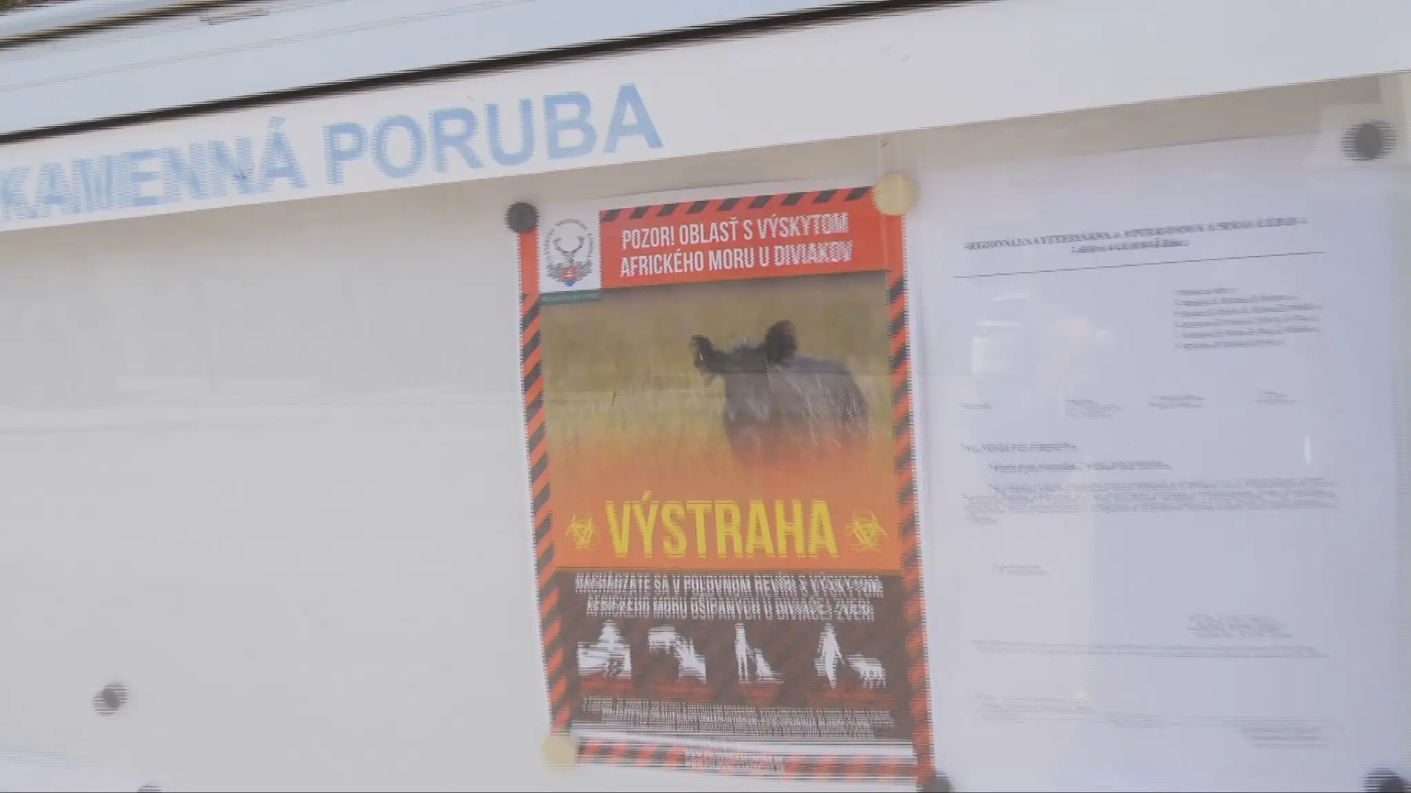 Na severe Slovenska varujú pred africkým morom ošípaných.