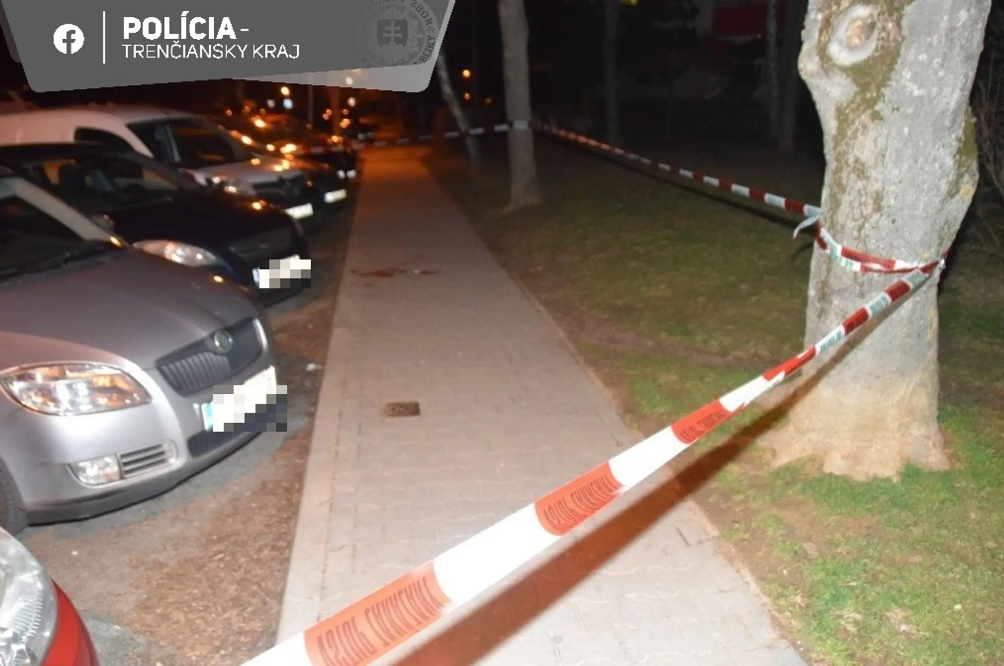 Pes počas venčenia napadol v Trenčíne okoloidúcu ženu.
