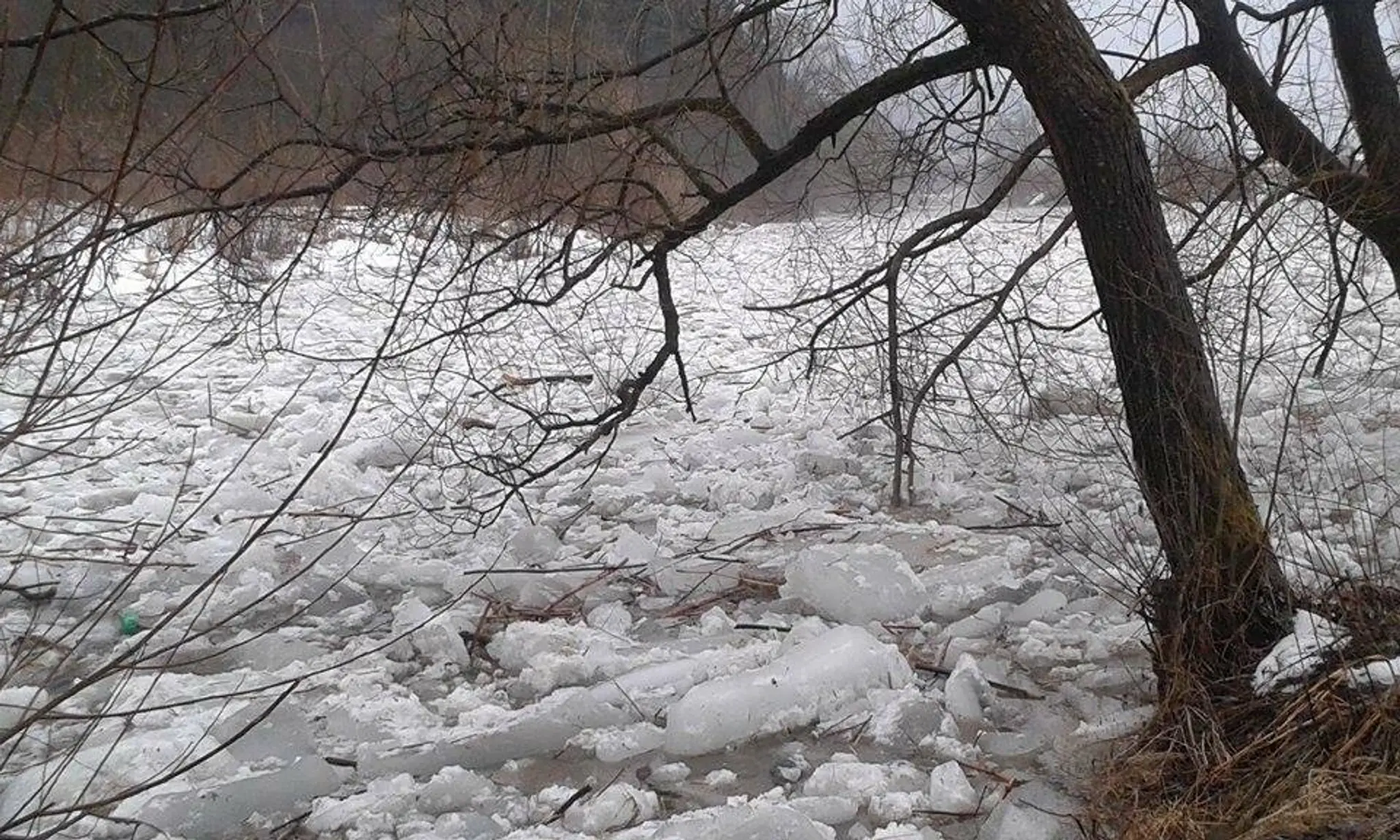 Na rieke Kysuca hrozí ľadová povodeň