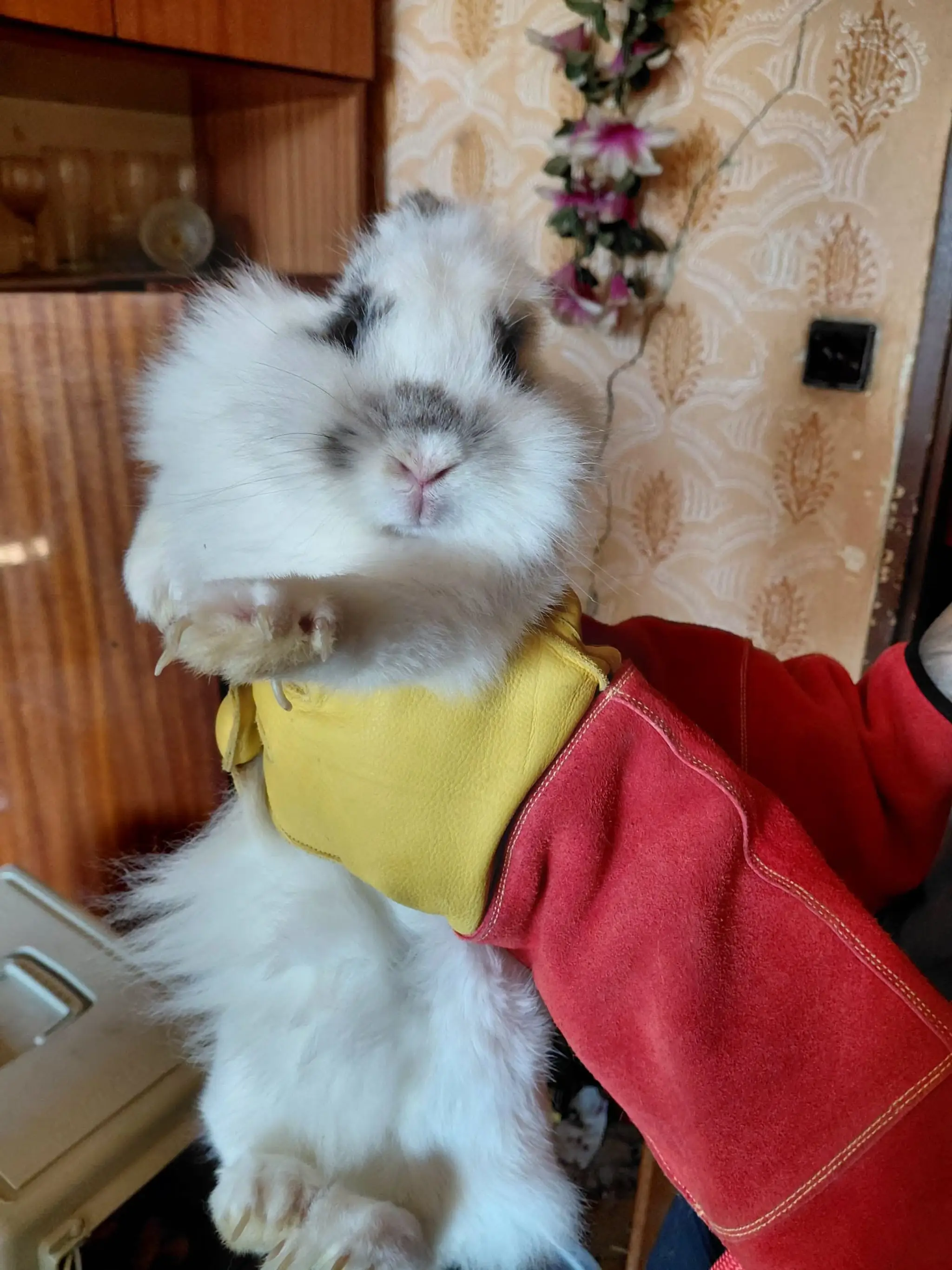 Katastrofálne podmienky a zanedbané zvieratá.