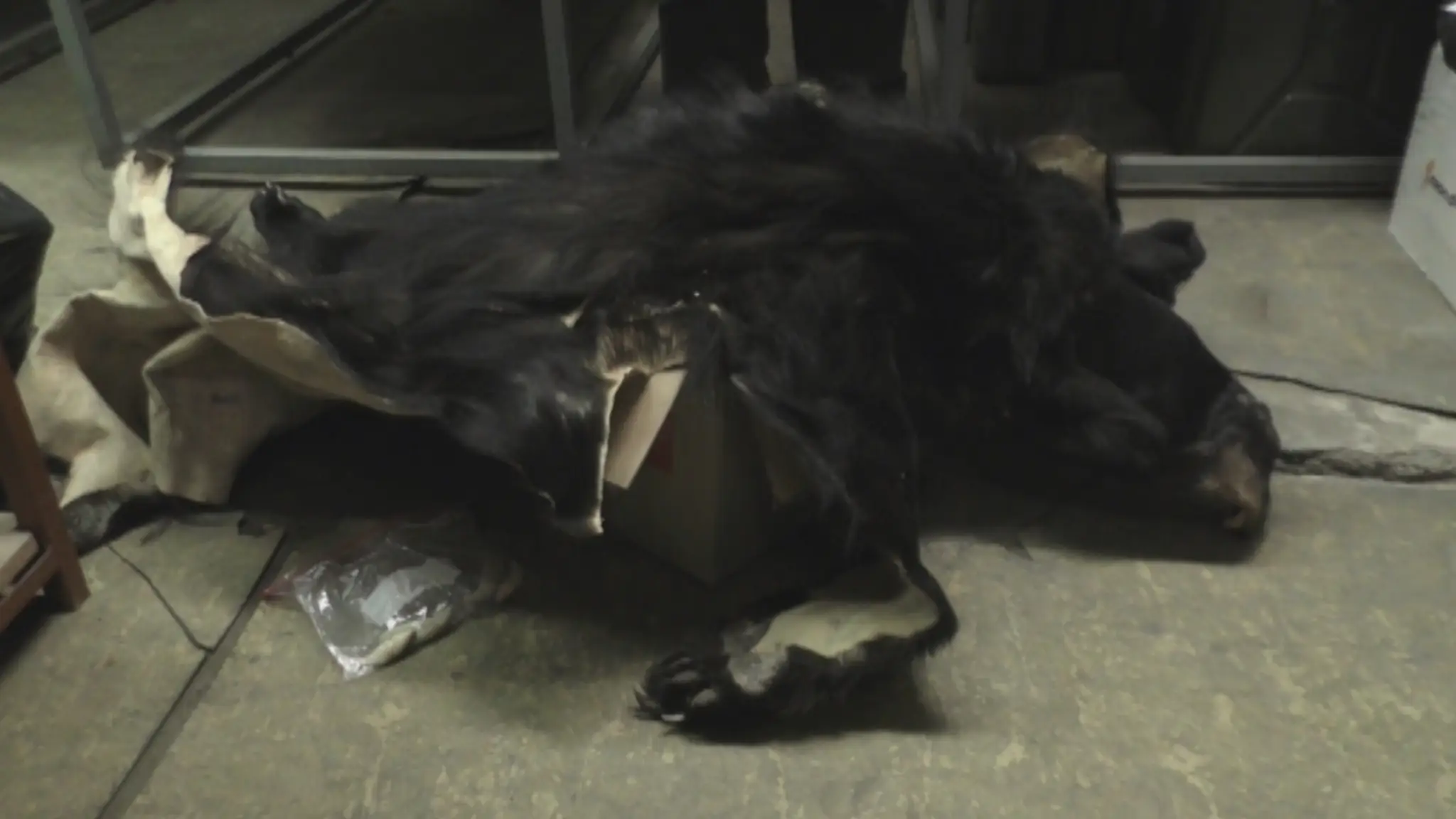 COLNICIweb_jpg_bez_watermarku_1.jpg
