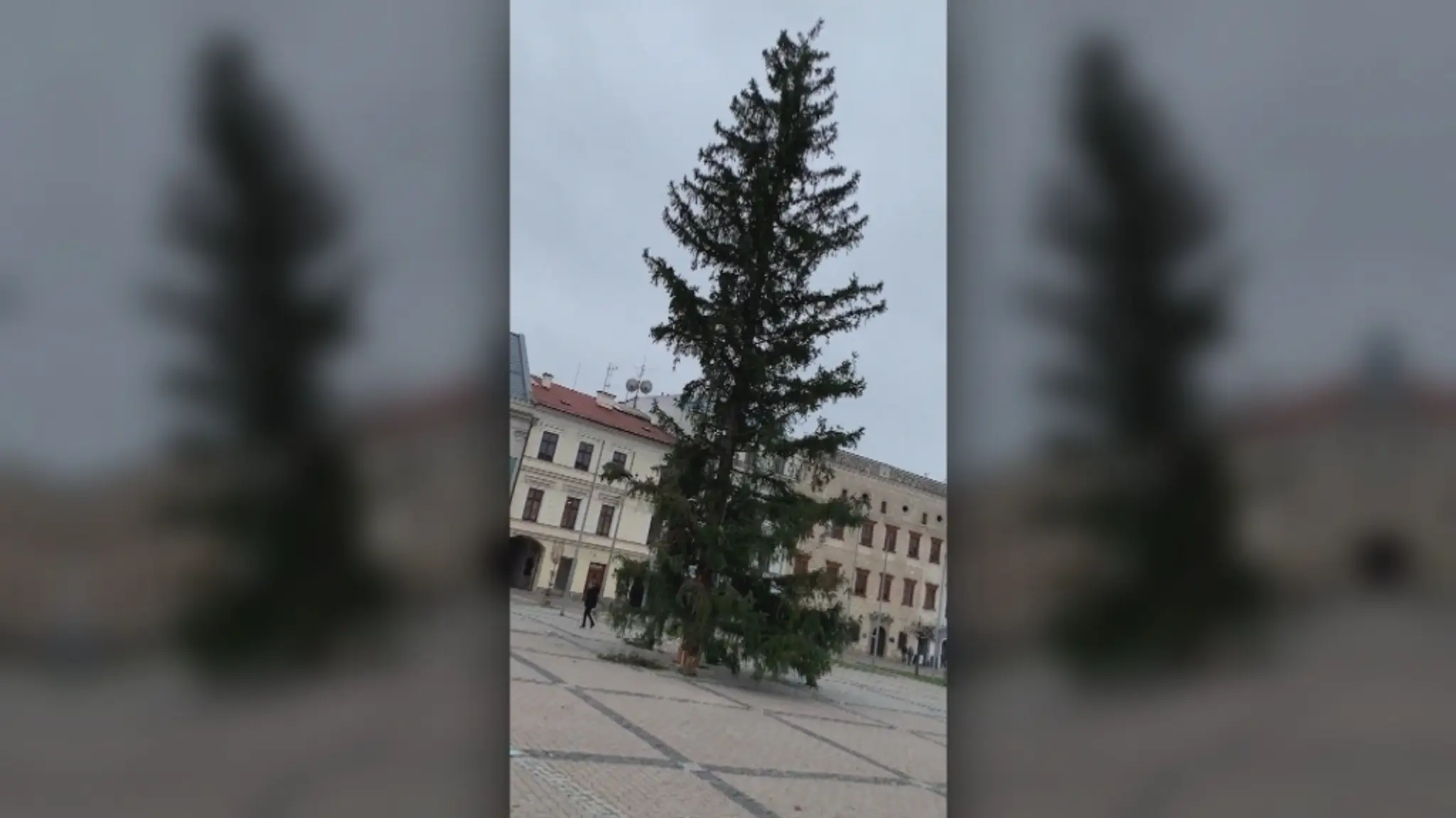 Hráči Leverkusenu oslavujú gól v LM na pôde Lokomotivu Moskva.