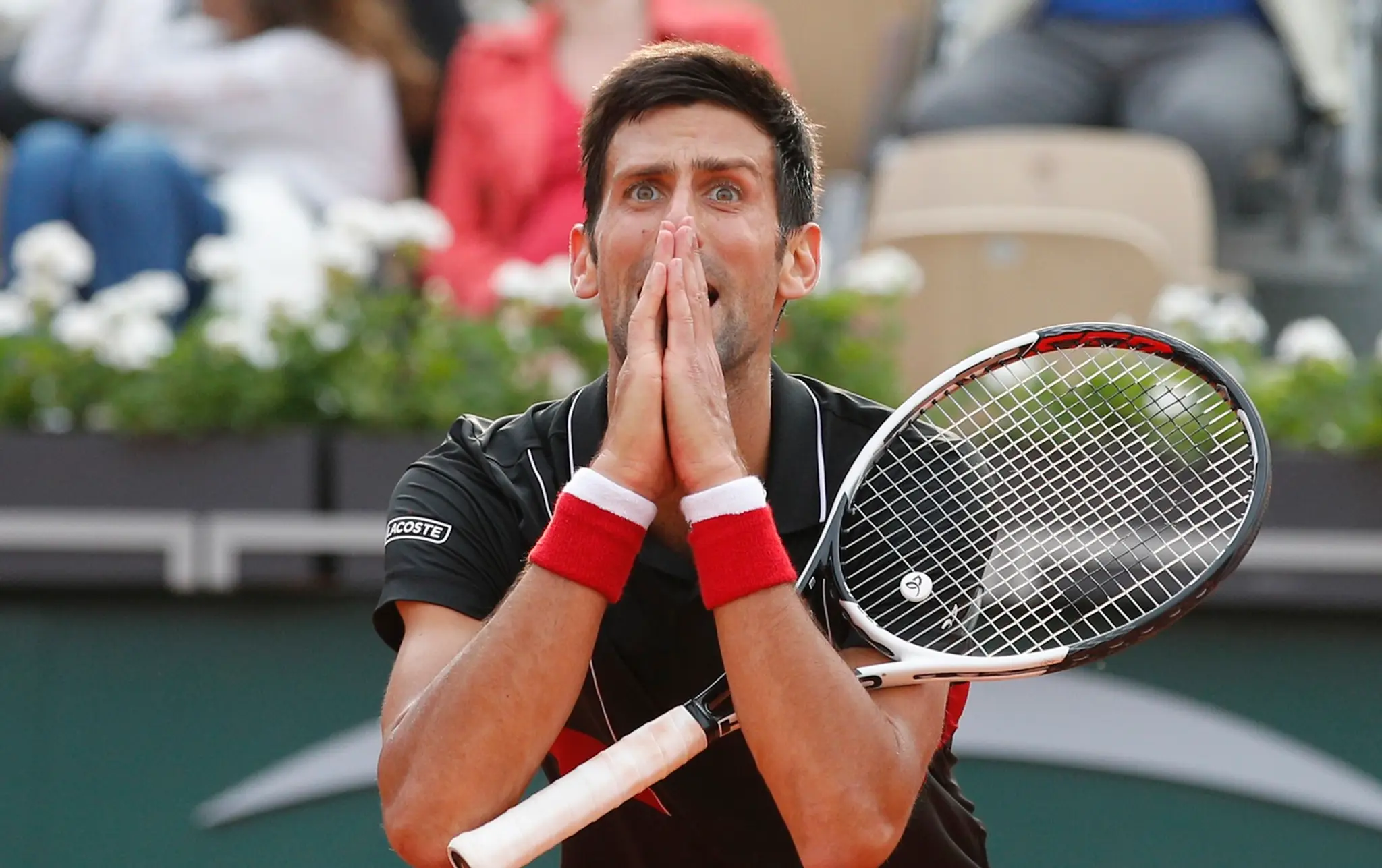 Novak Djokovič.