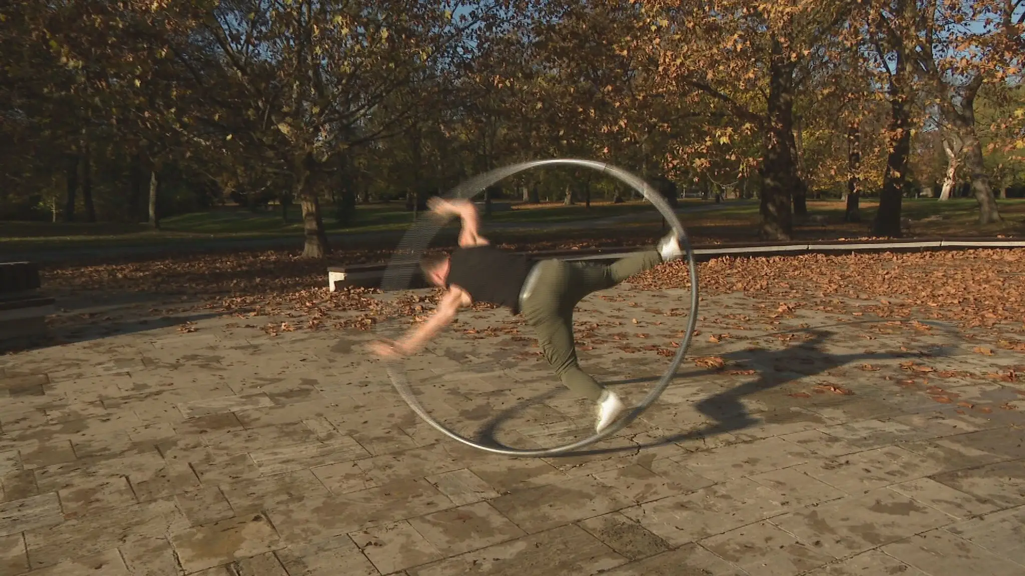 Cyr Wheel.
