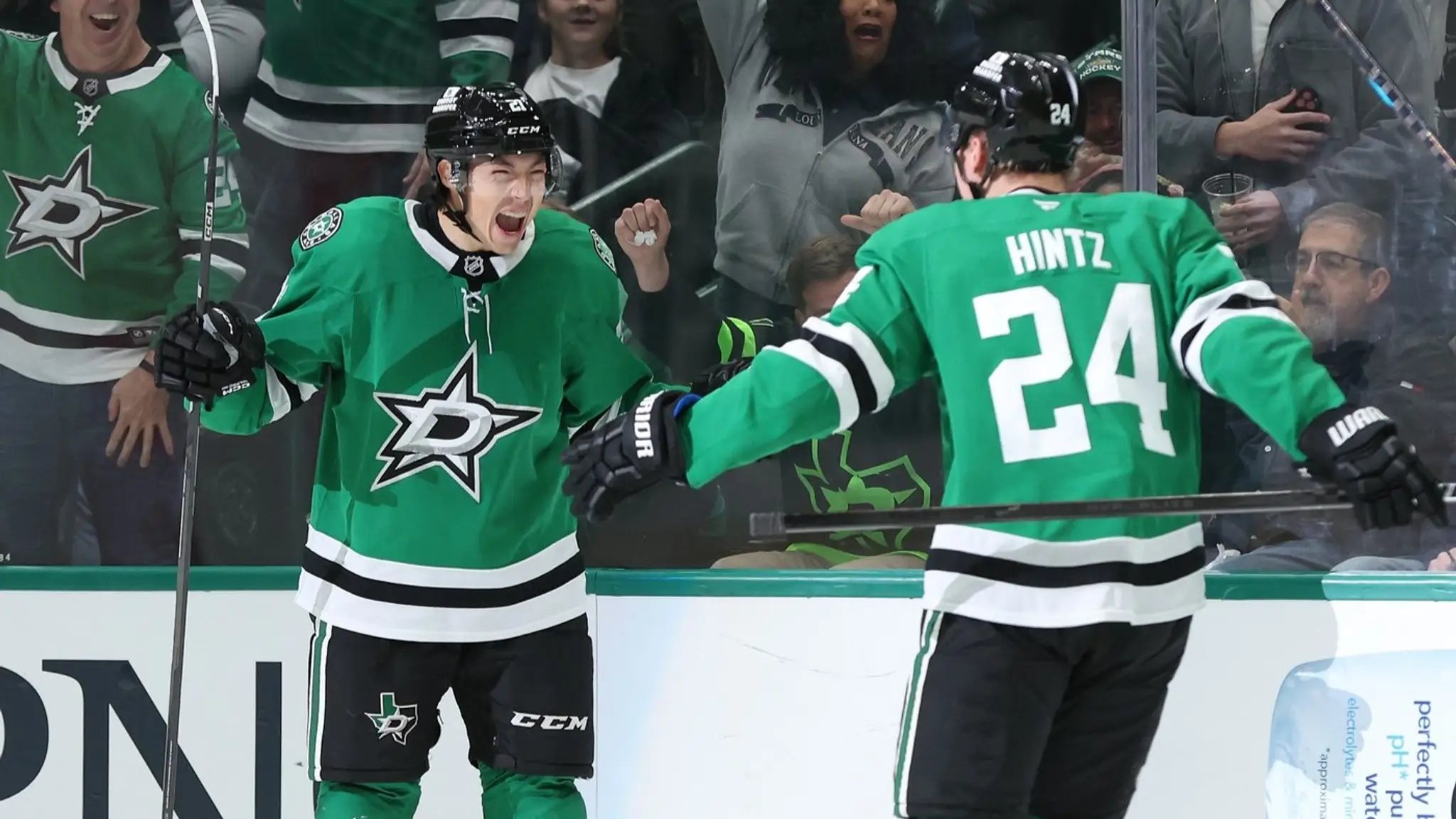 Dallas Stars