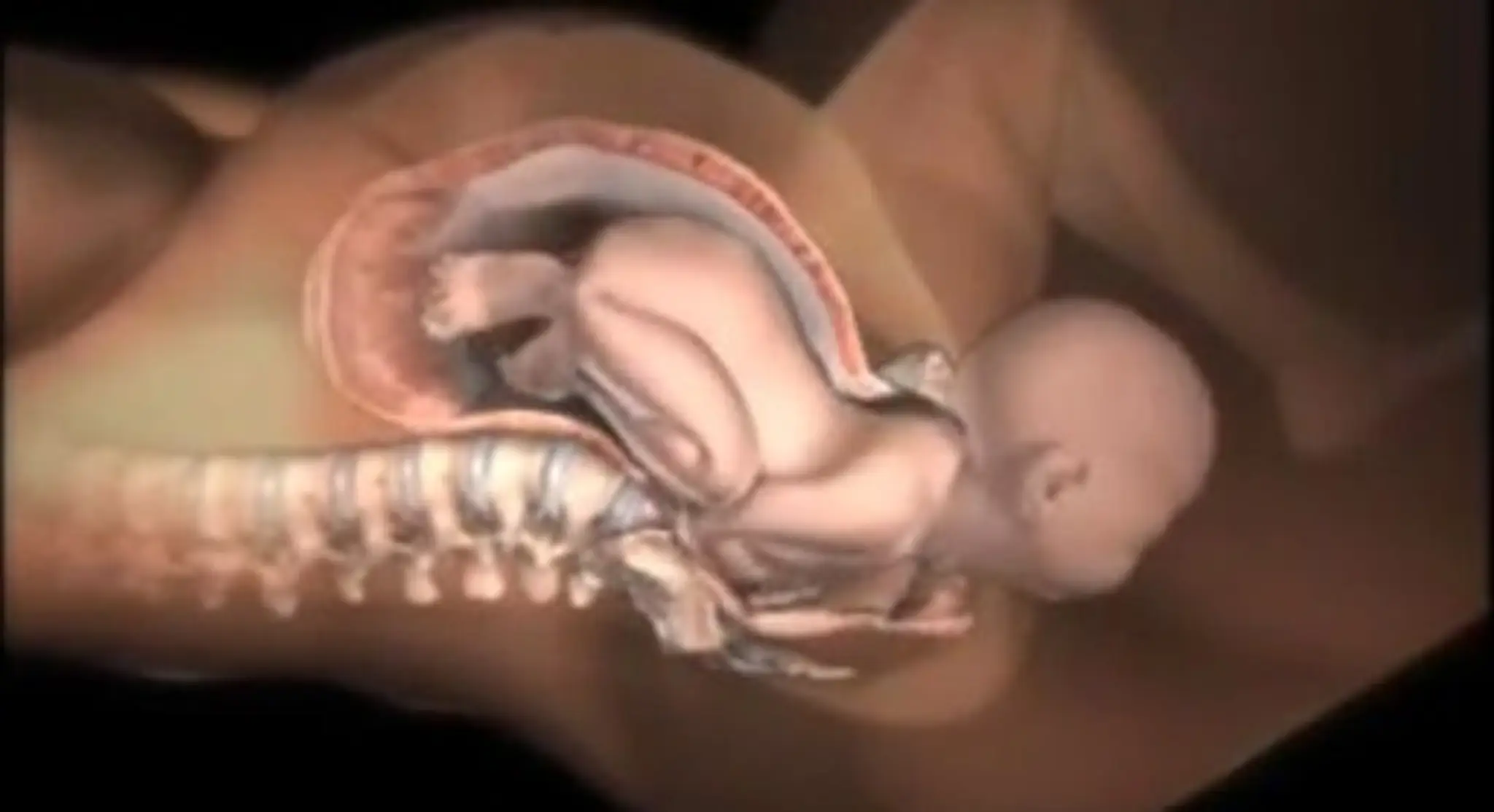 birthingvideo2.jpg