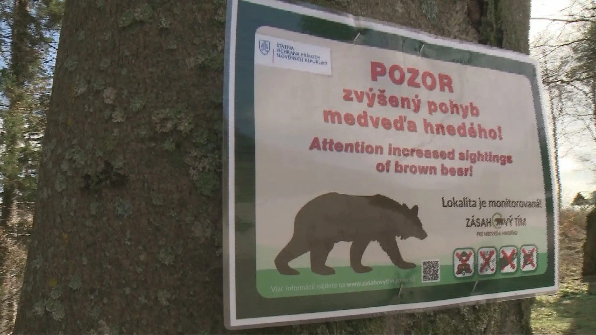 Oznam o zvýšenom pohybe medveďov (ilustračná snímka)