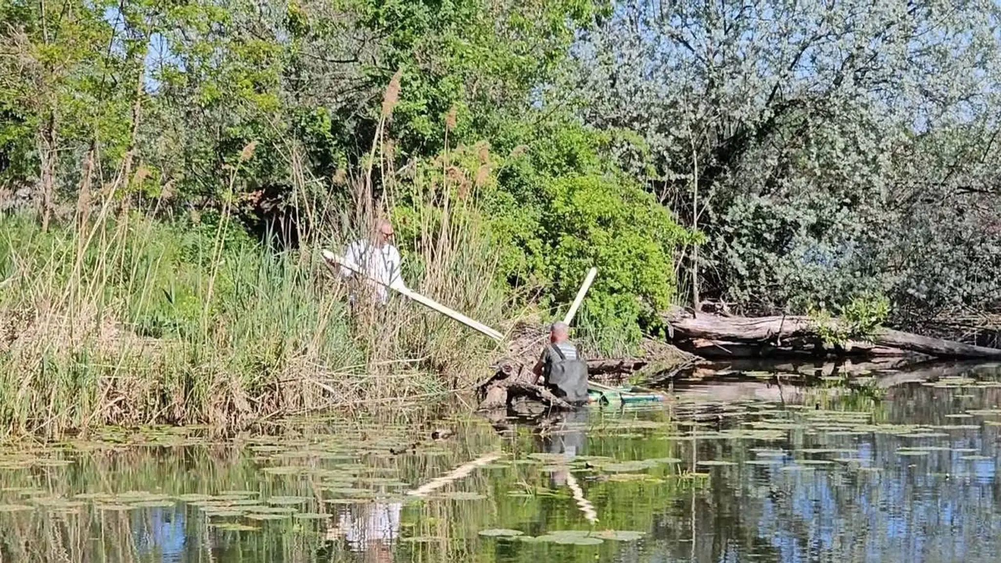Nebezpečné korytnačky sa šíria pri Dunaji.