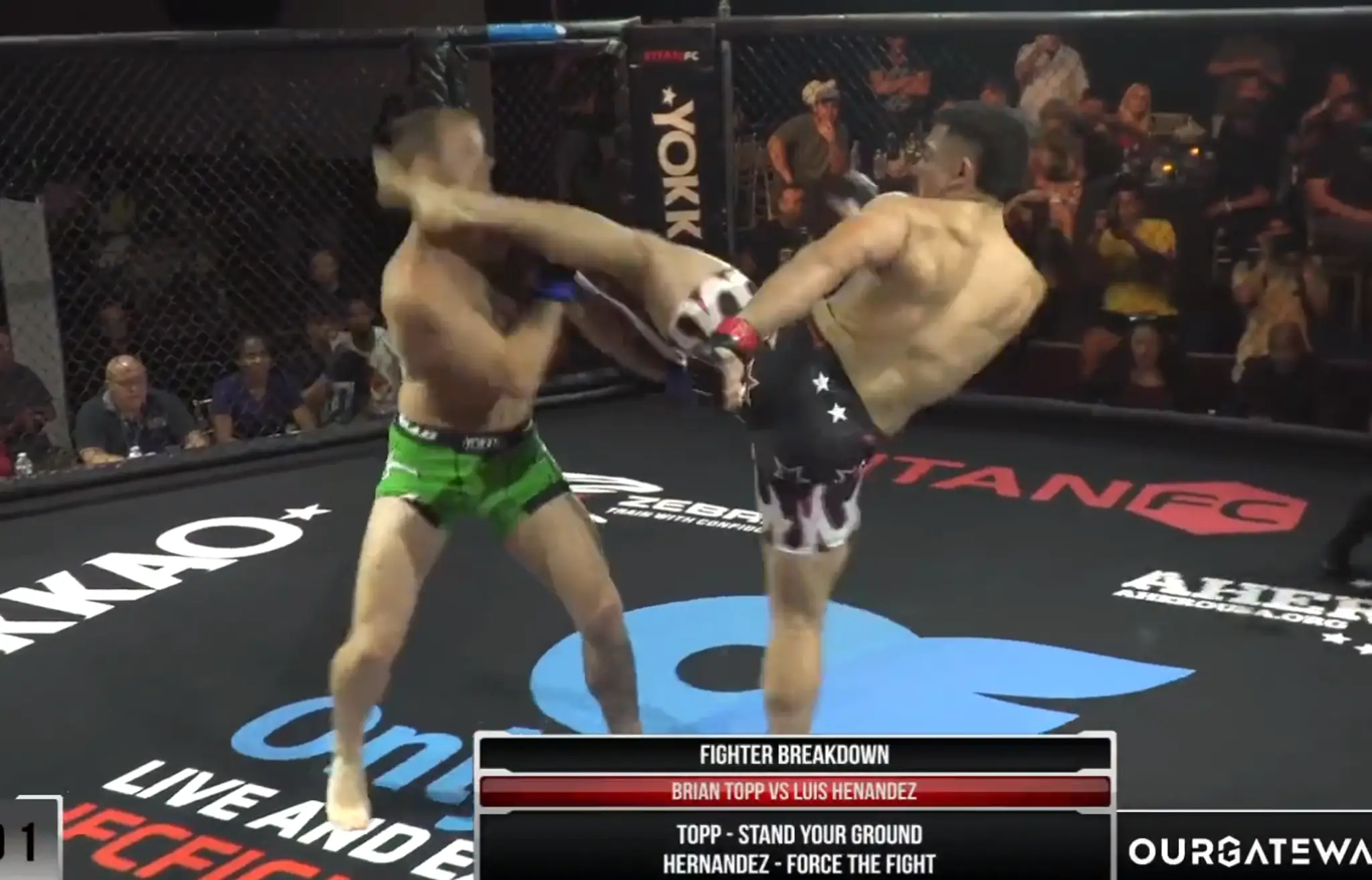 Najrýchlejšie KO v MMA.