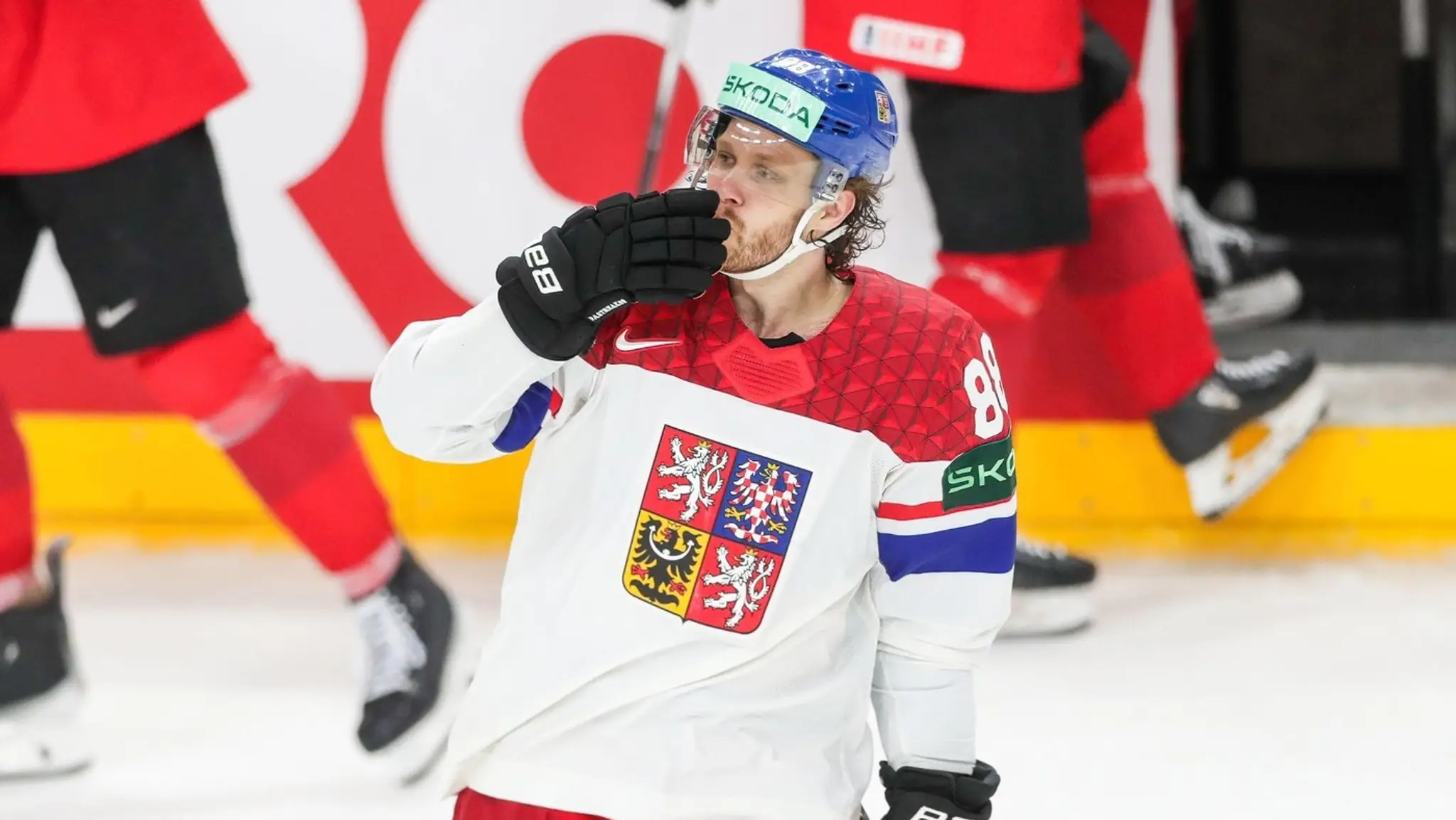 David Pastrňák.