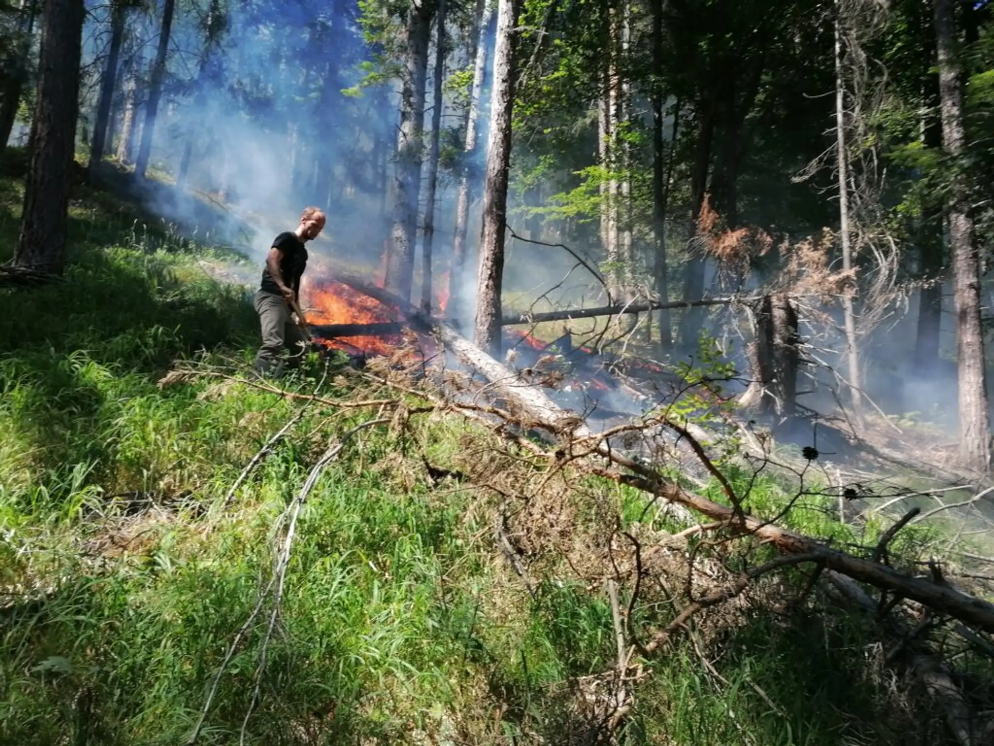 Matej Pisačík (Správa NP Slovenský raj)