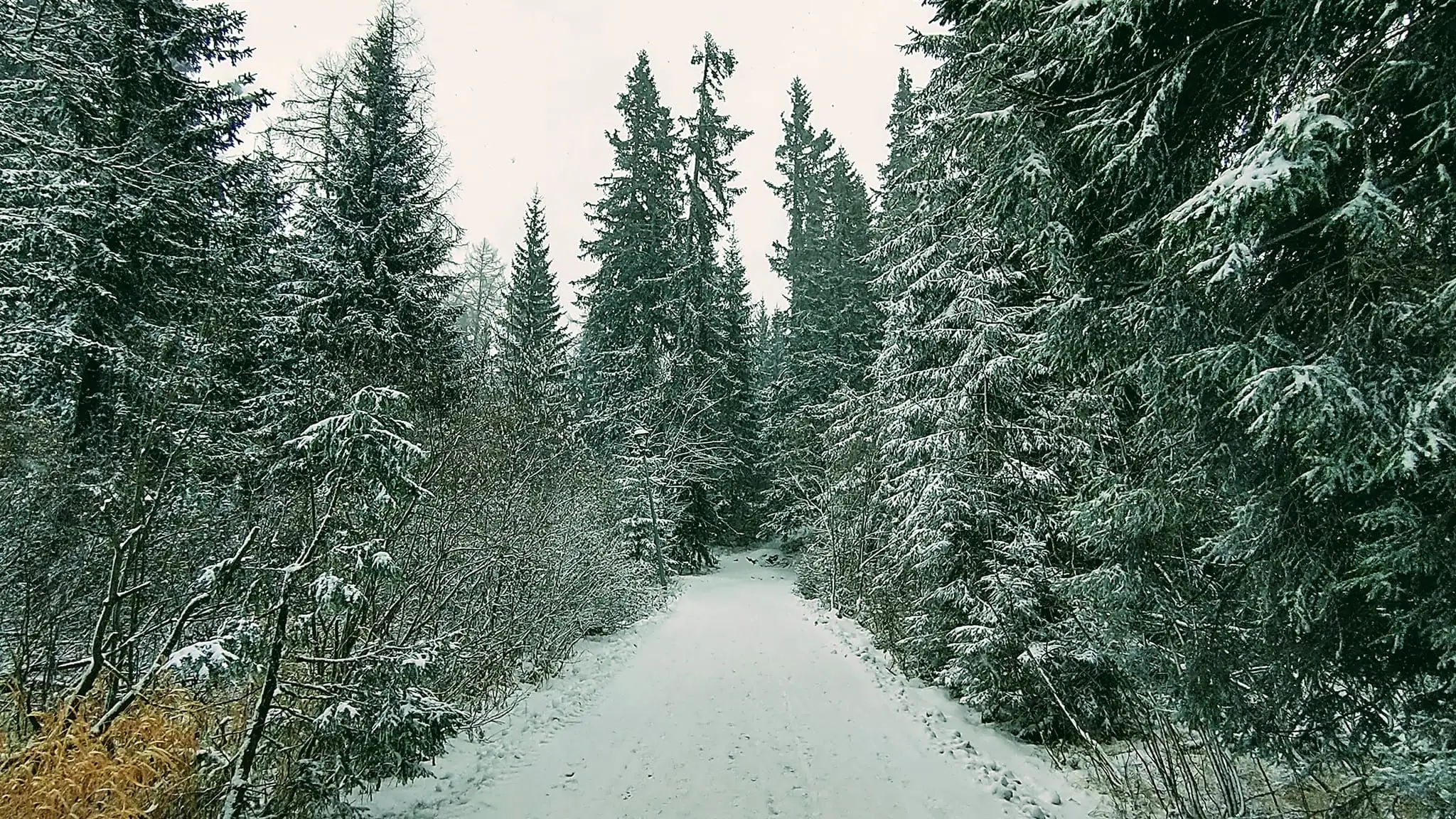 Štrbské pleso.
