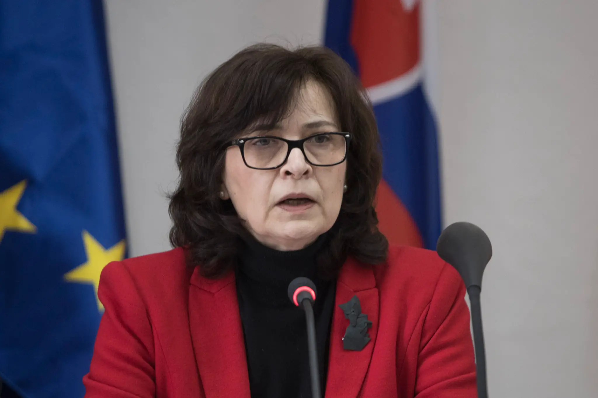 Lucia Žitňanská.