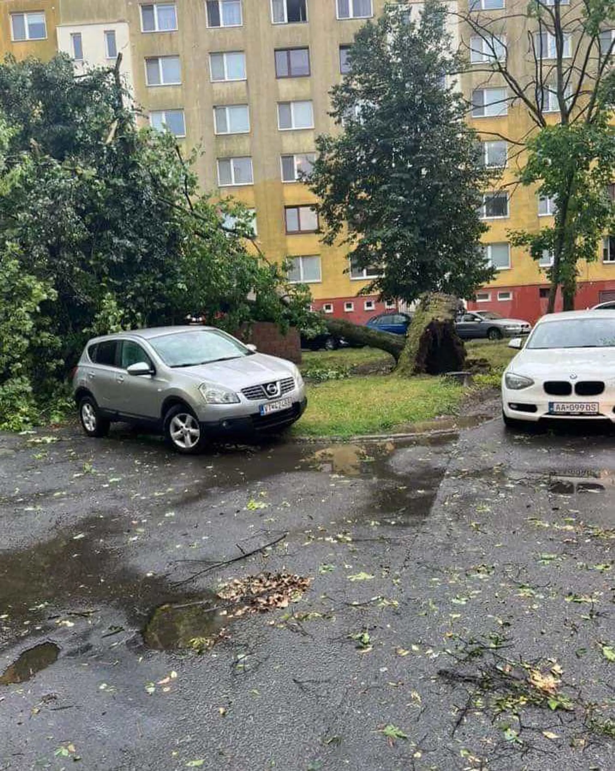 Spúšť po búrke vo Vranove nad Topľou.