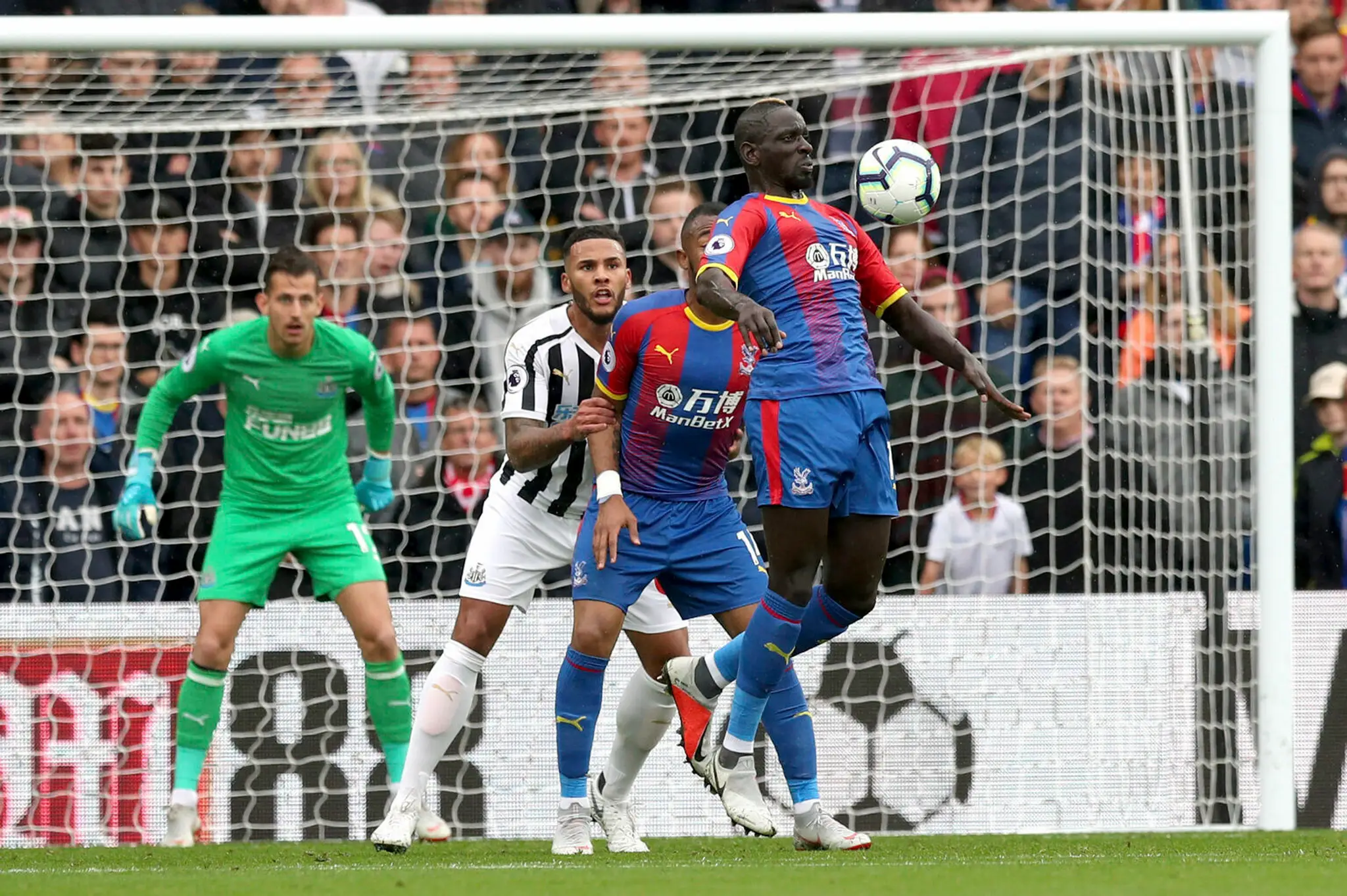 Zo zápasu Crytal palace - Newcastle United.